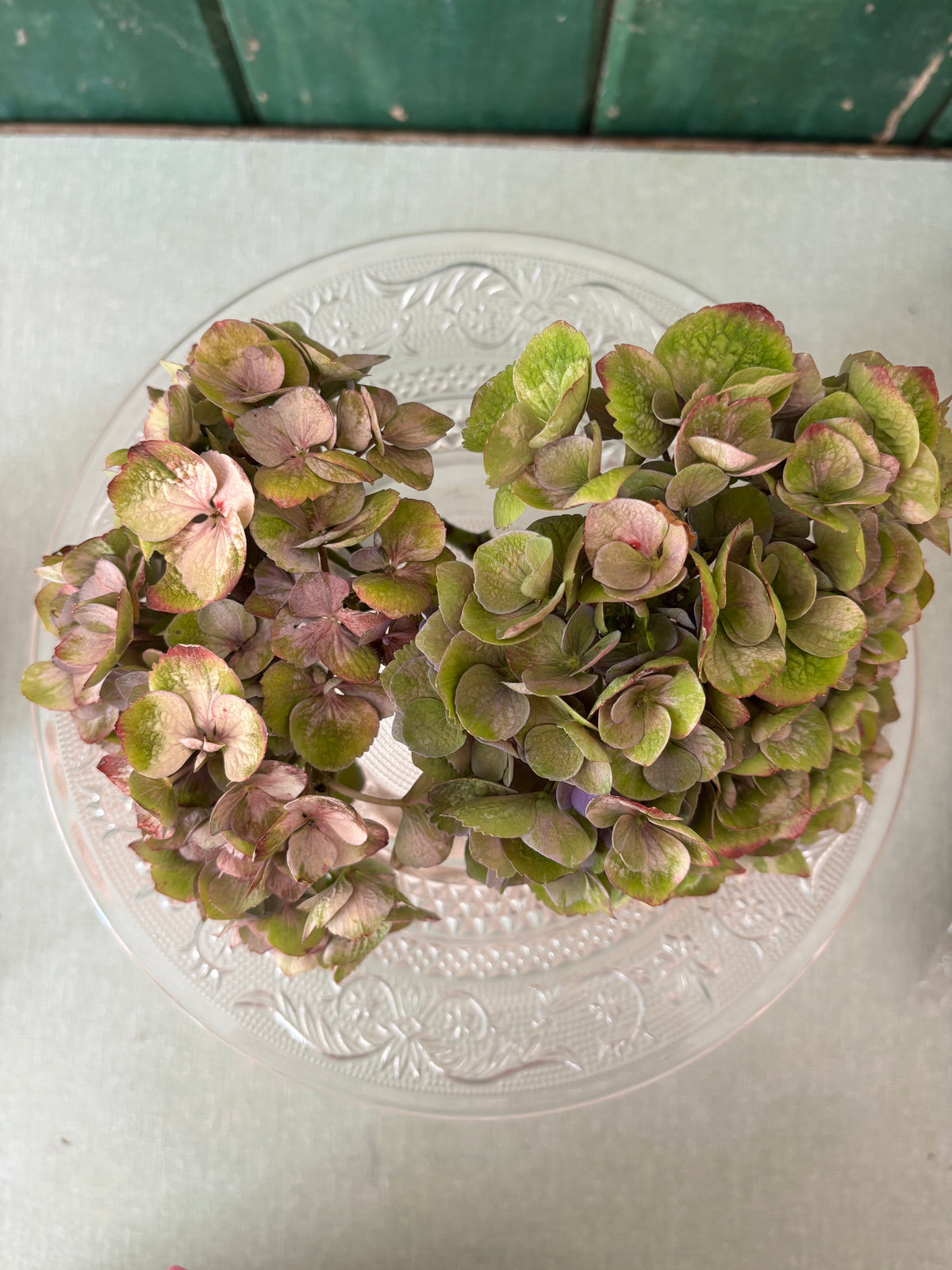 A glass caked plate seen from above.
