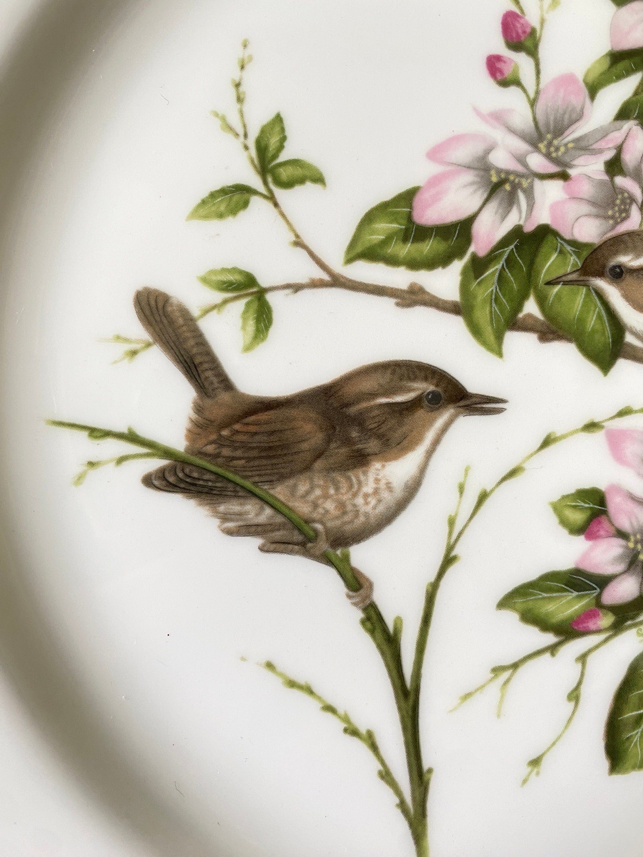 detail f a ceramic plate with wren decoration