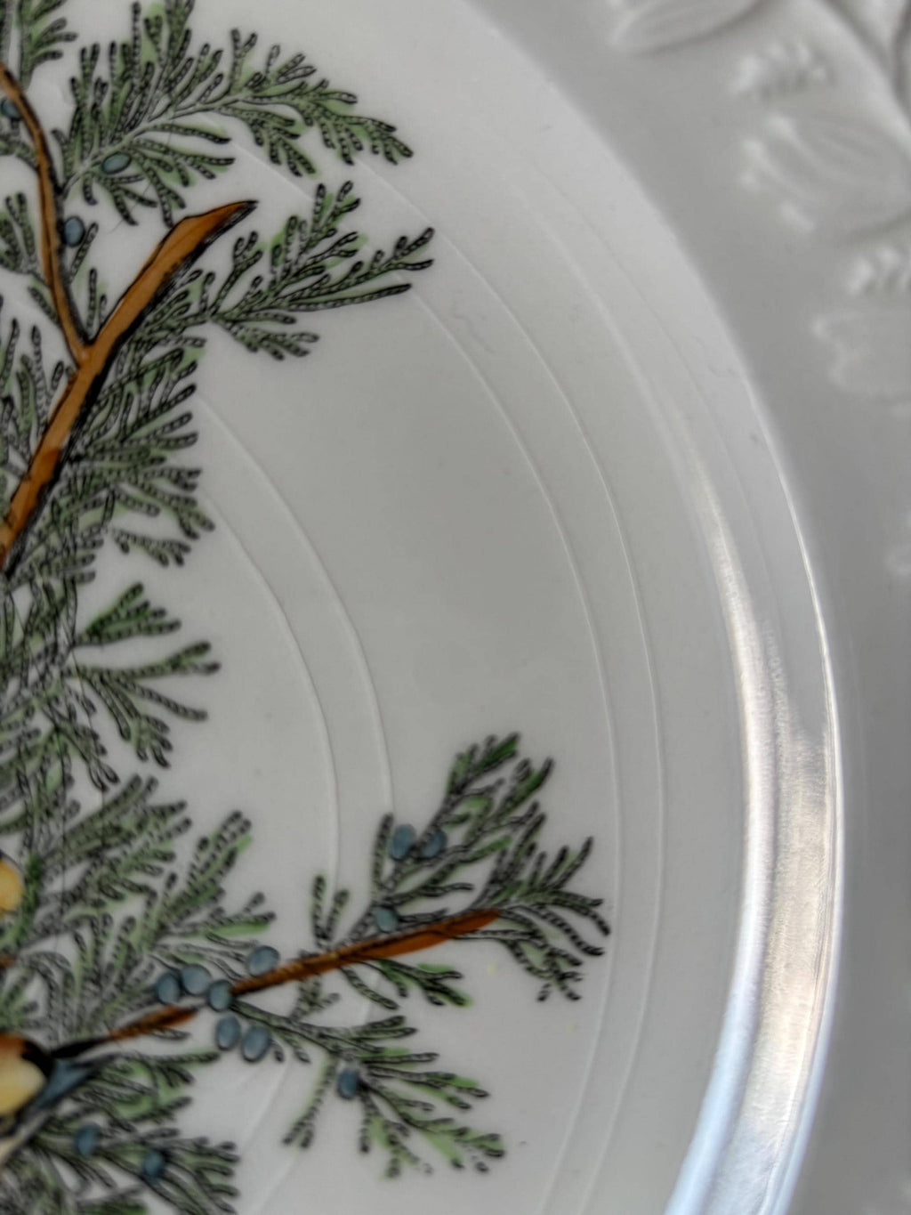 Close-up of a decorative plate with floral patterns