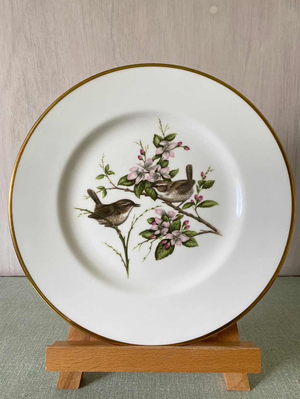 Ceramic plate with wren decoration