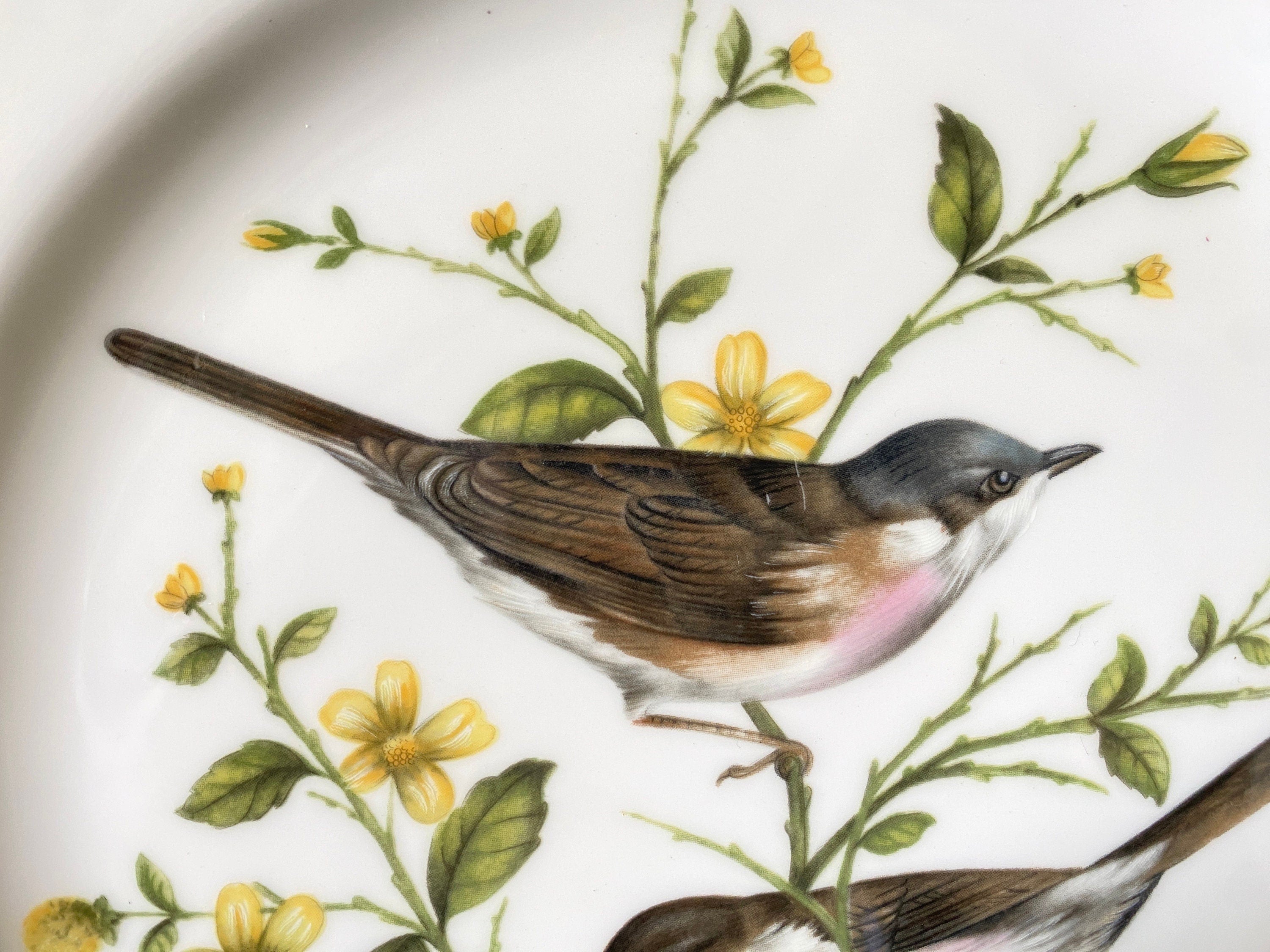Coalport Whitethroat Plate: Limited Edition British Bird Plate