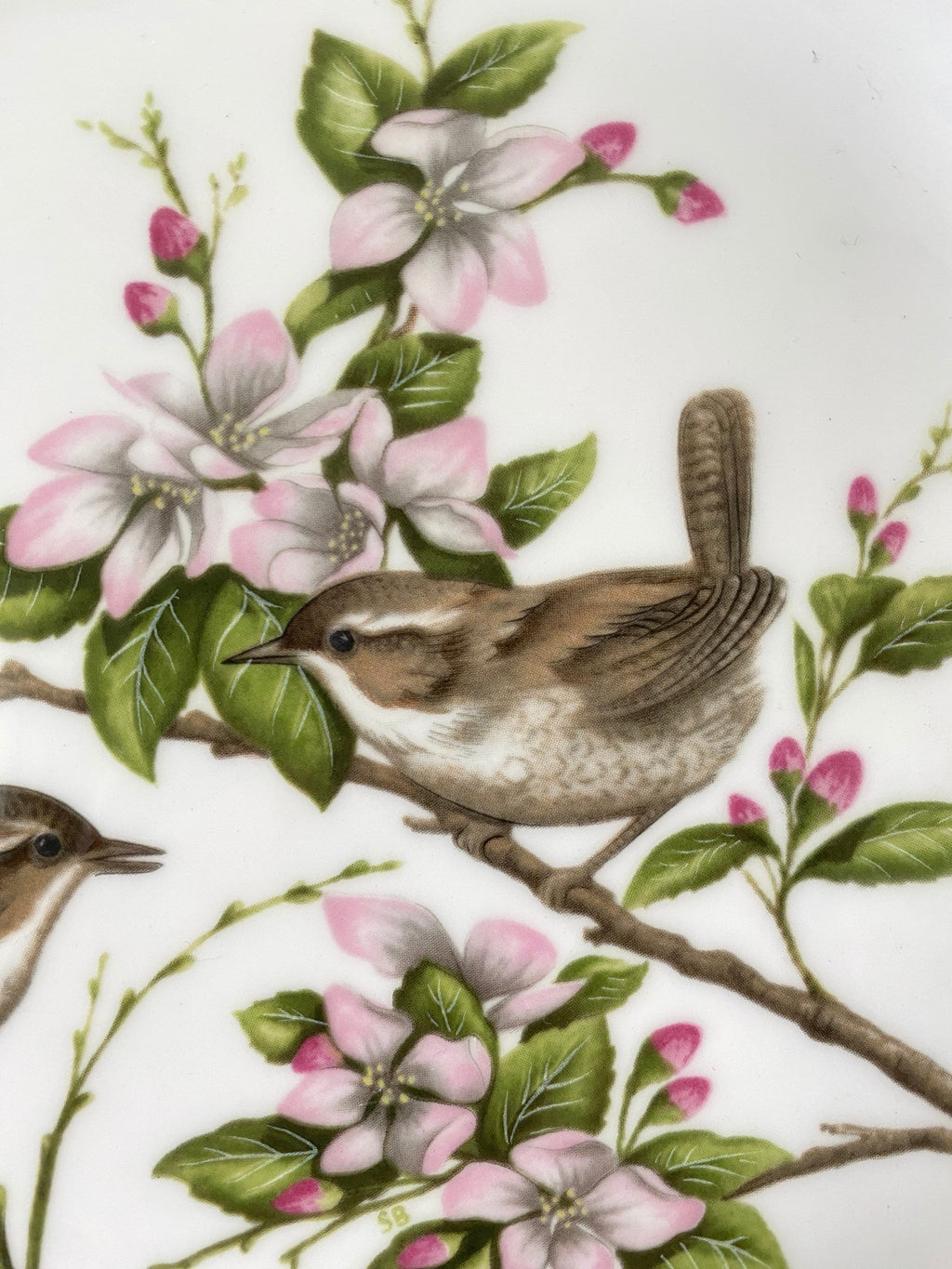 detail of a ceramic plate with wren decoration