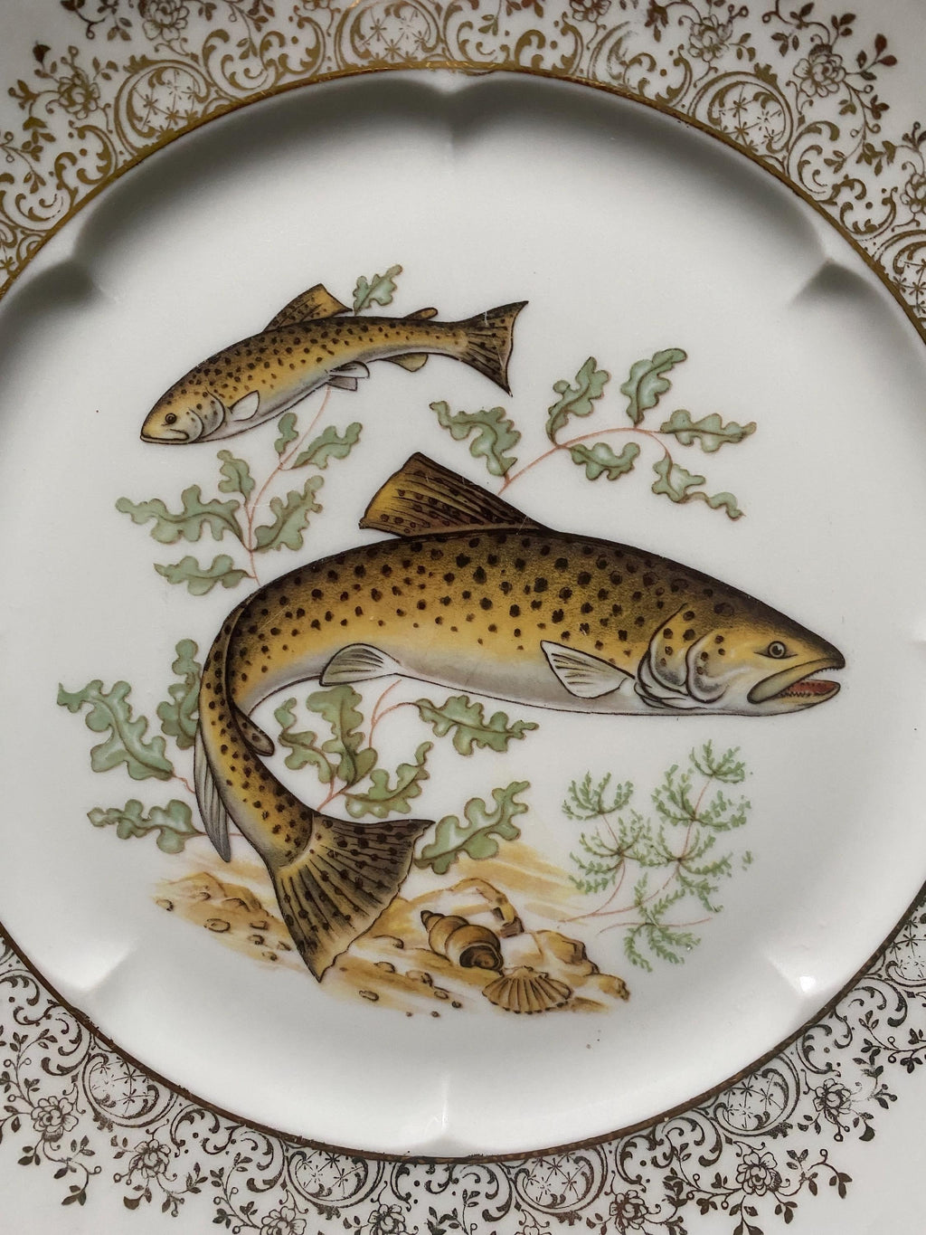 Set of three decorative plates with fish illustrations and gilt decoration