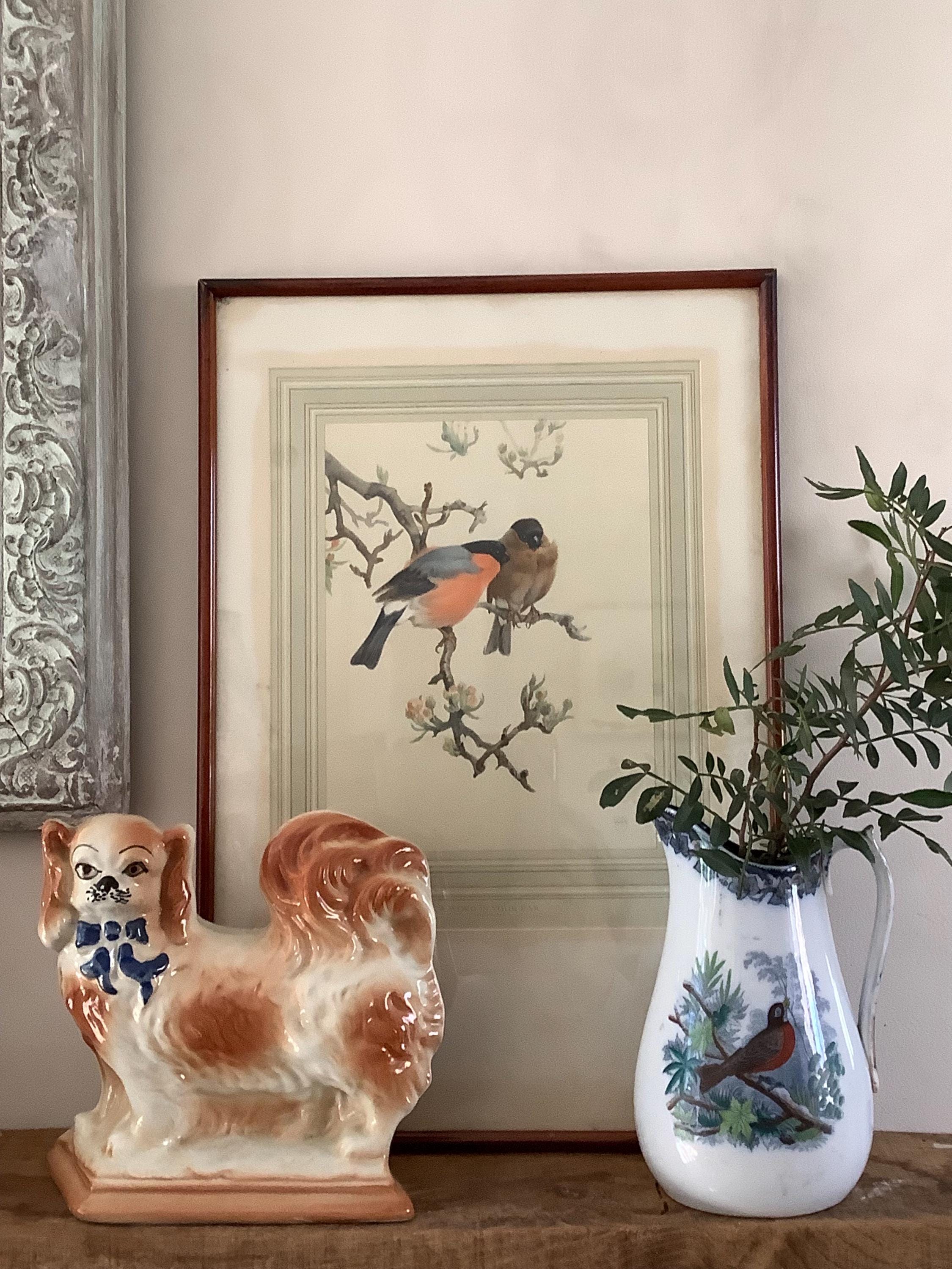 Vintage Framed Bird Print