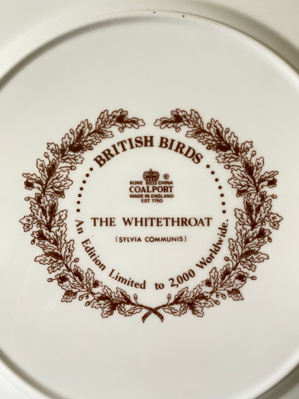 Coalport Whitethroat Plate: Limited Edition British Bird Plate