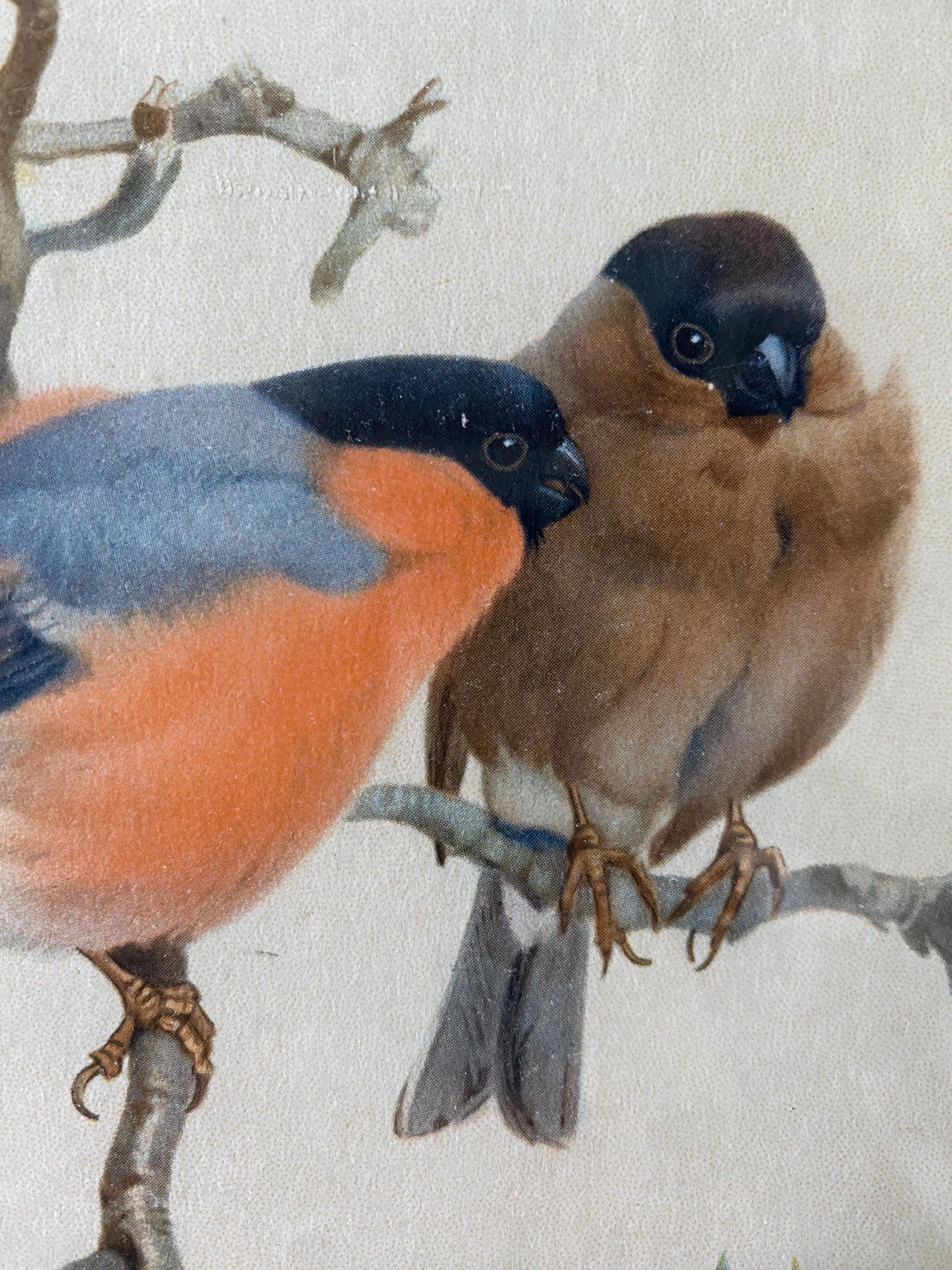 Two birds perched on a branch with a textured beige background