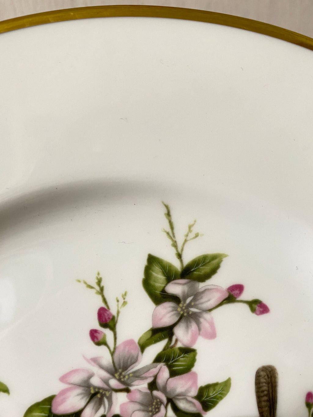 detail of floral design on a ceramic plate