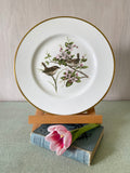 Coalport Wren Plate