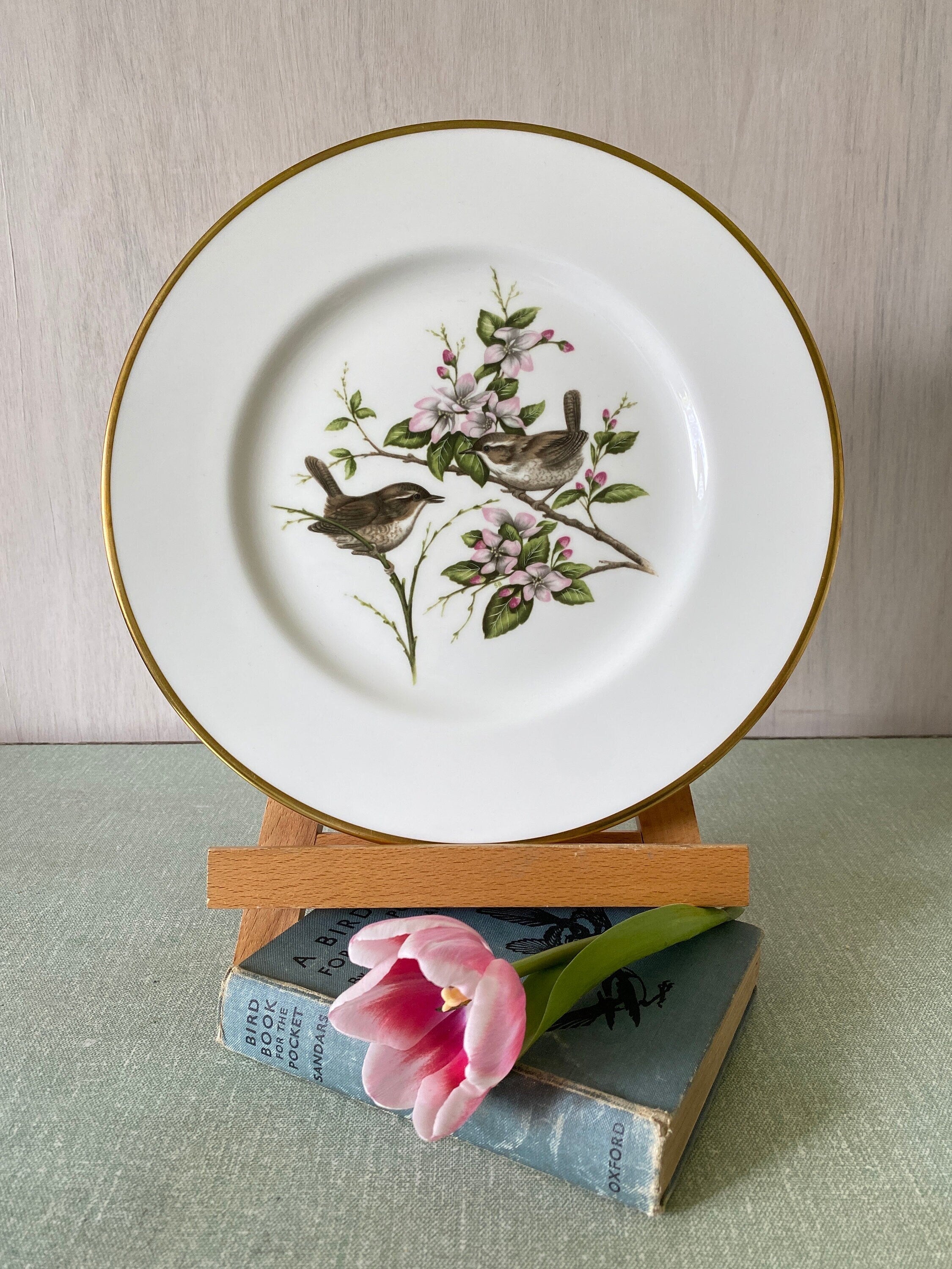 Coalport Wren Plate
