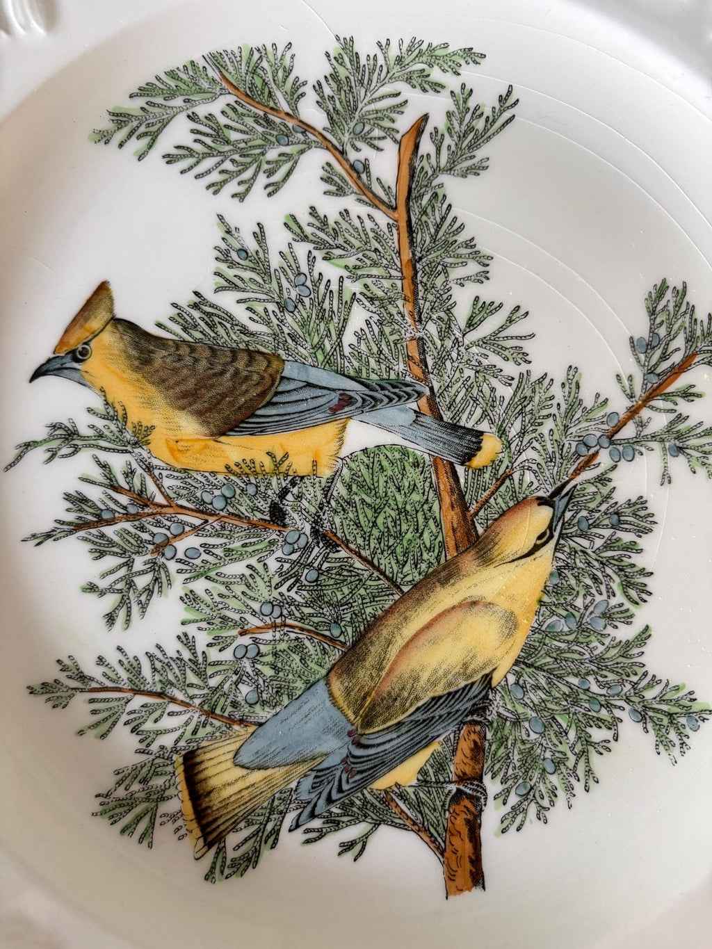 Close-up of decorative plate with colourful bird and tree design