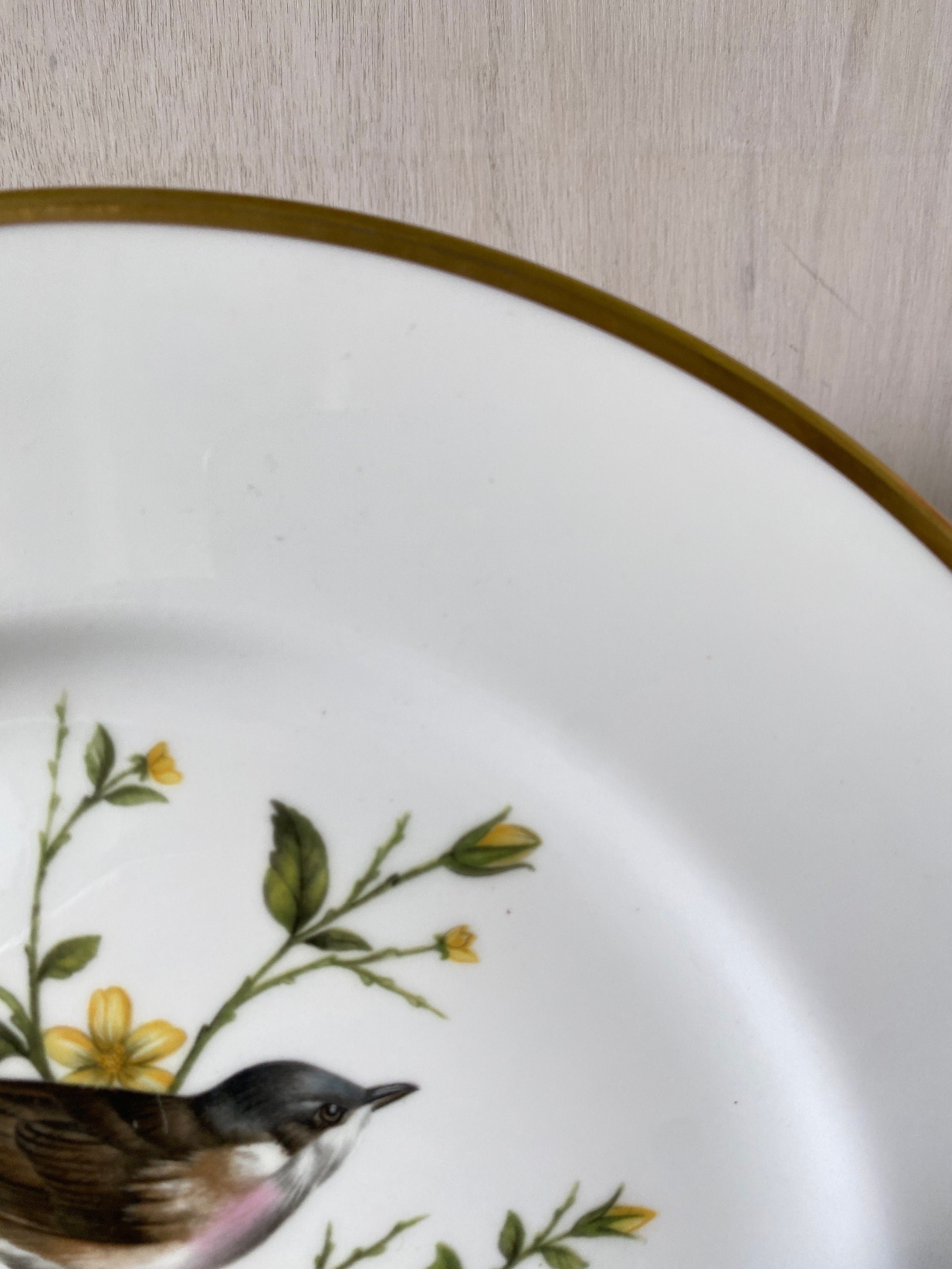 Coalport Whitethroat Plate: Limited Edition British Bird Plate