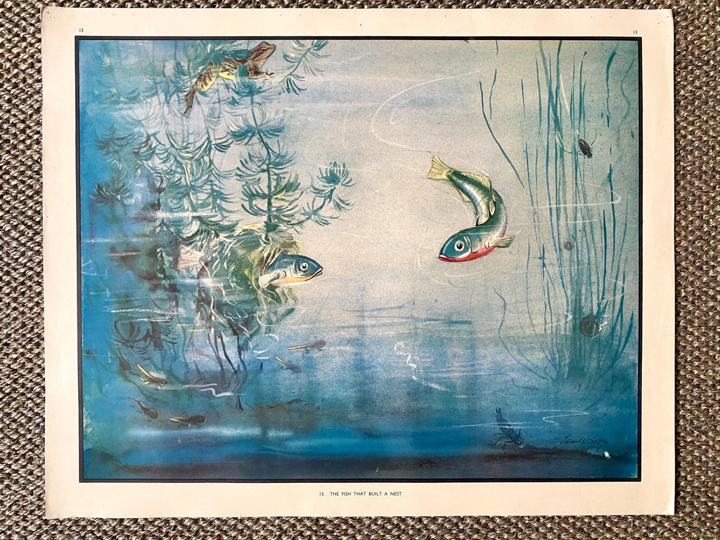 Eileen Soper Print