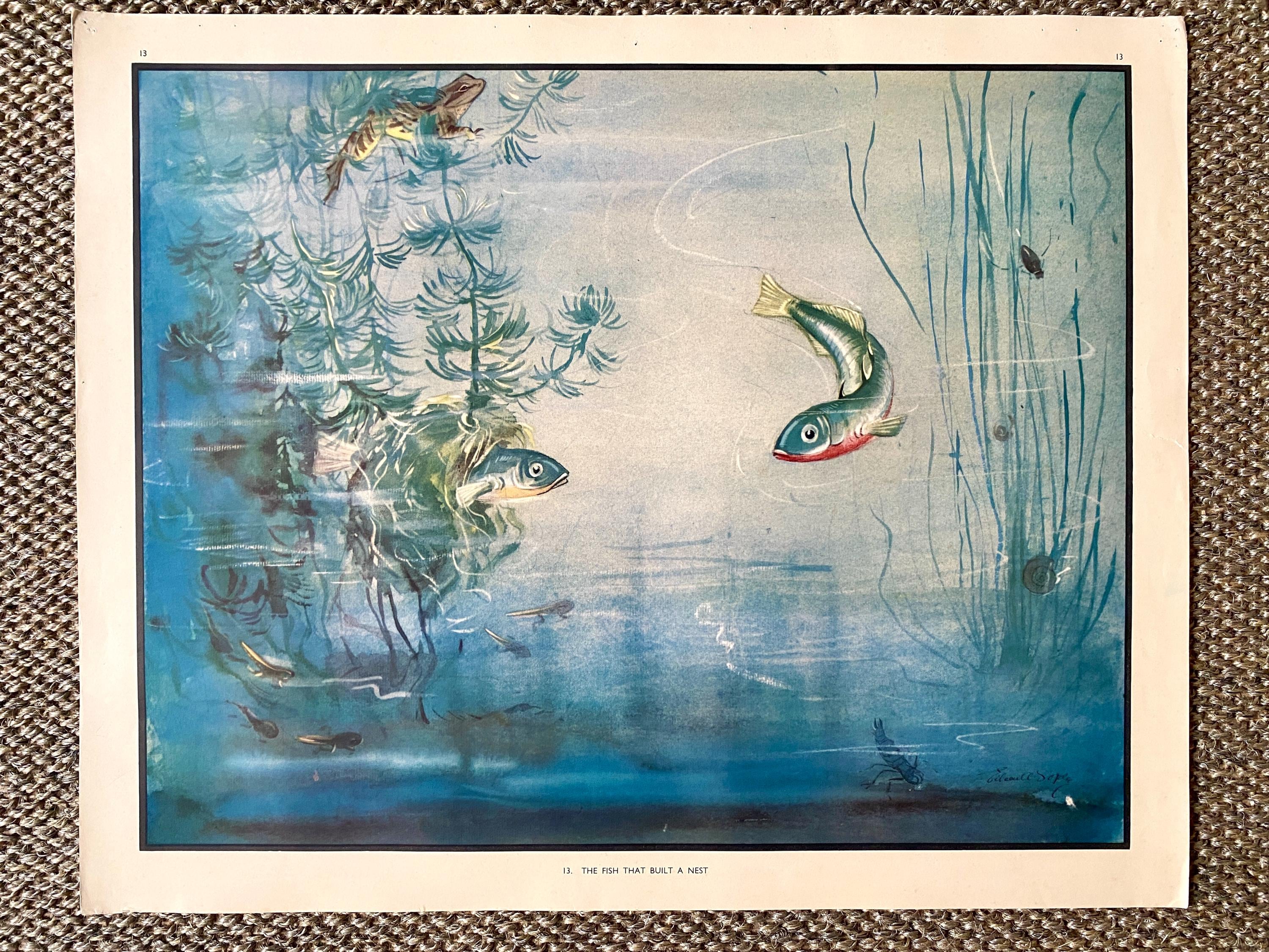 Eileen Soper Print