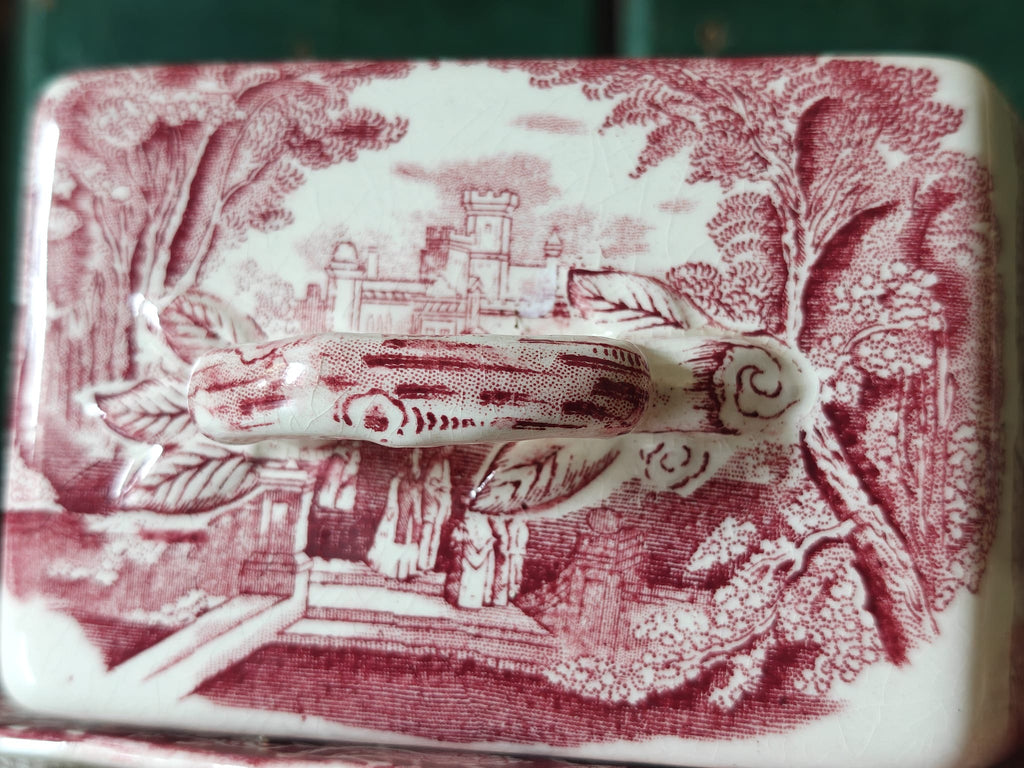 A close-up of a ceramic lid of a Masons Vista butter dish.