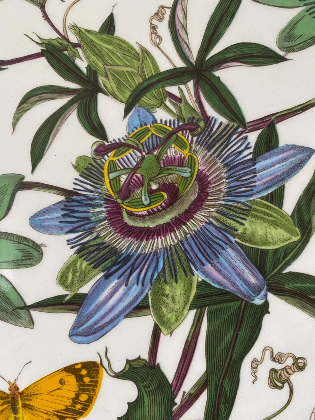 Portmeirion Botanic Garden 35th Anniversary Platter