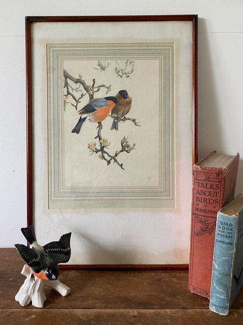 Framed bird print with wooden frame