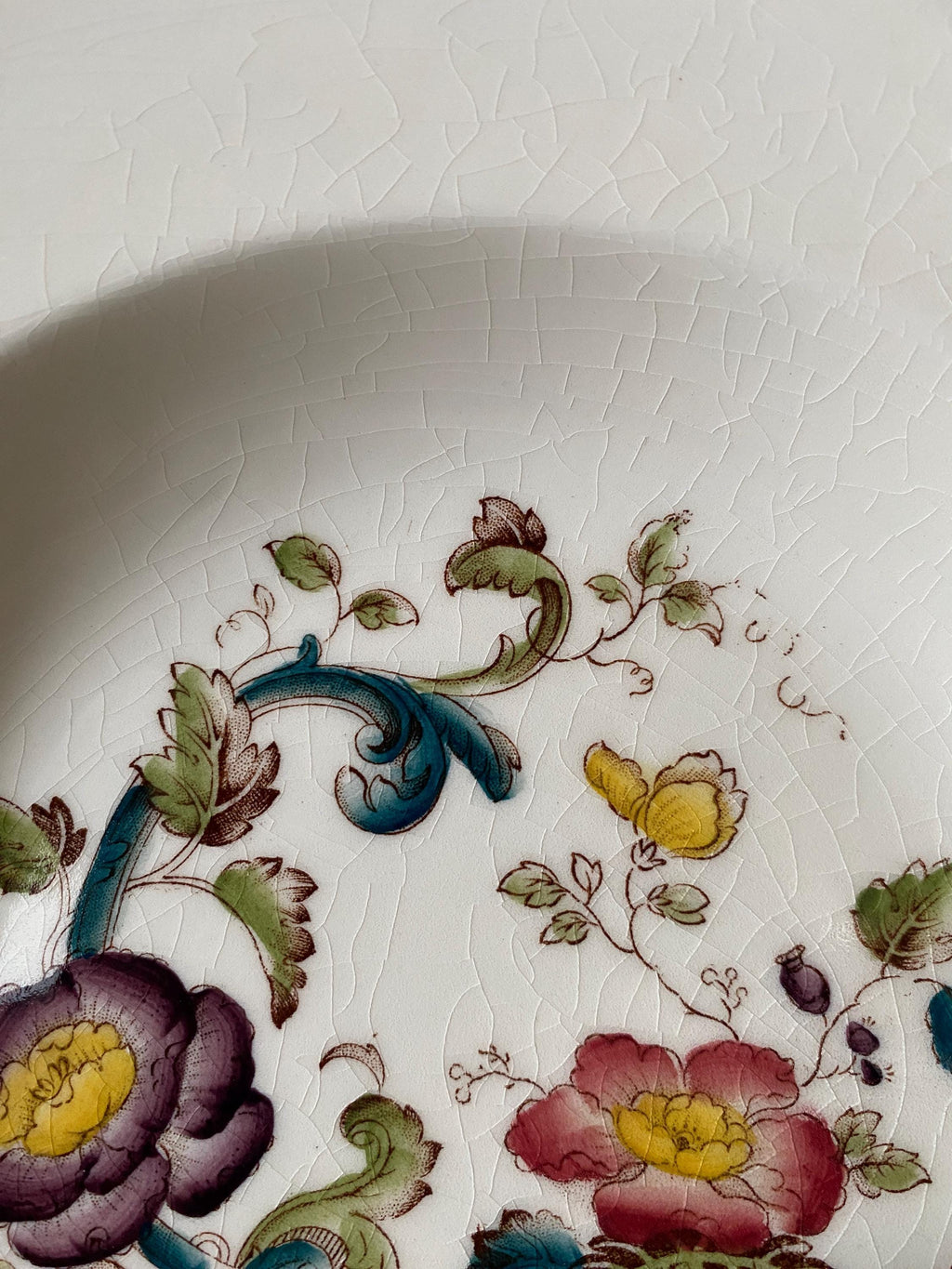Close-up of a ceramic plate with floral patterns on a white background
