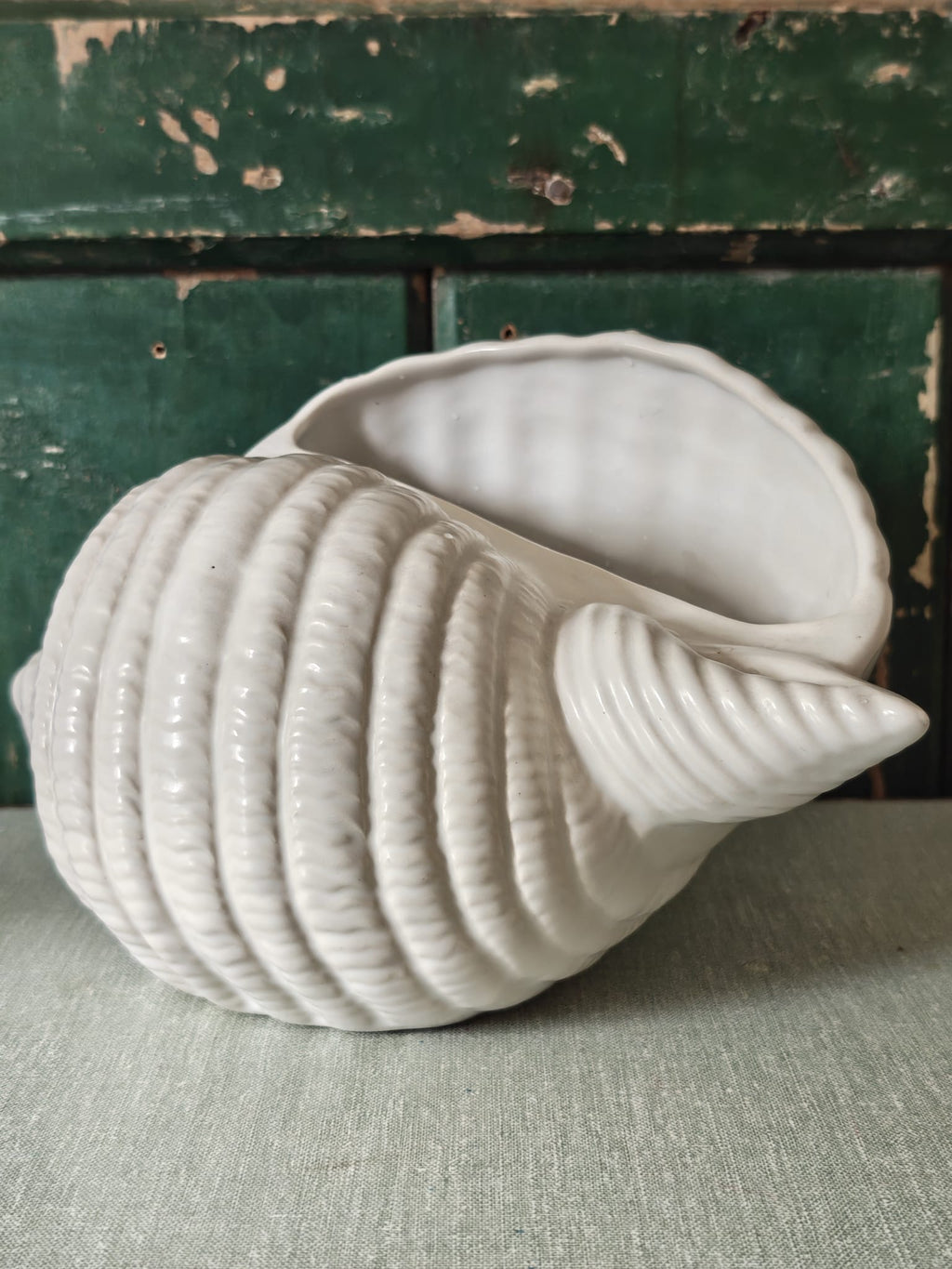 A large white ceramic seashell planter with a ribbed exterior and open shell interior.