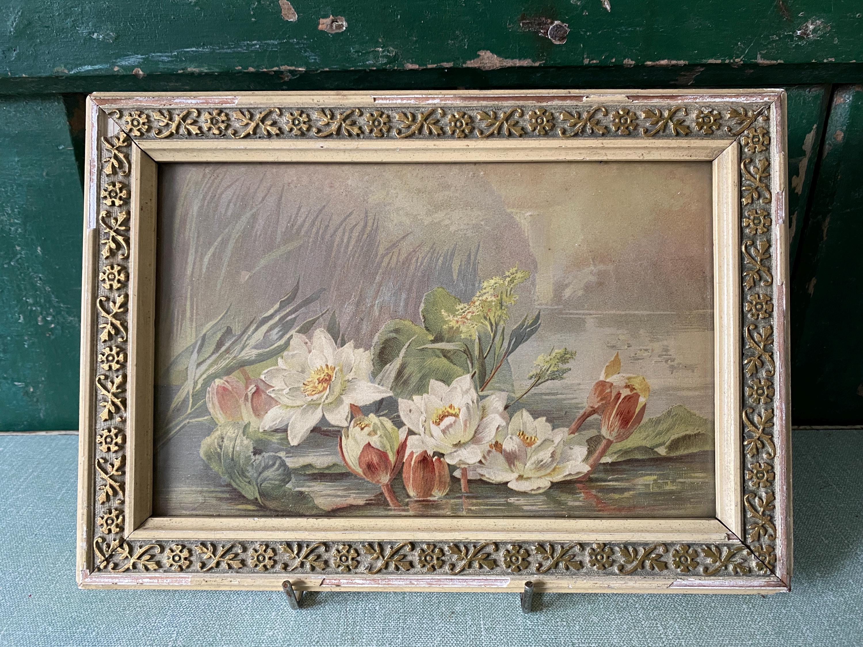 Framed Vintage Print of Water Lilies