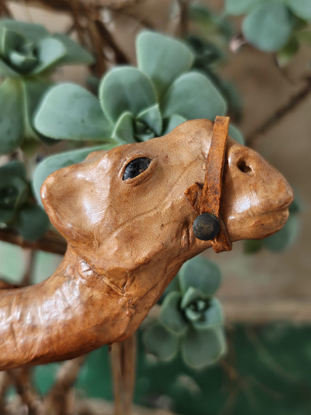 Close-up of the head of a brown leather covered camel figurine