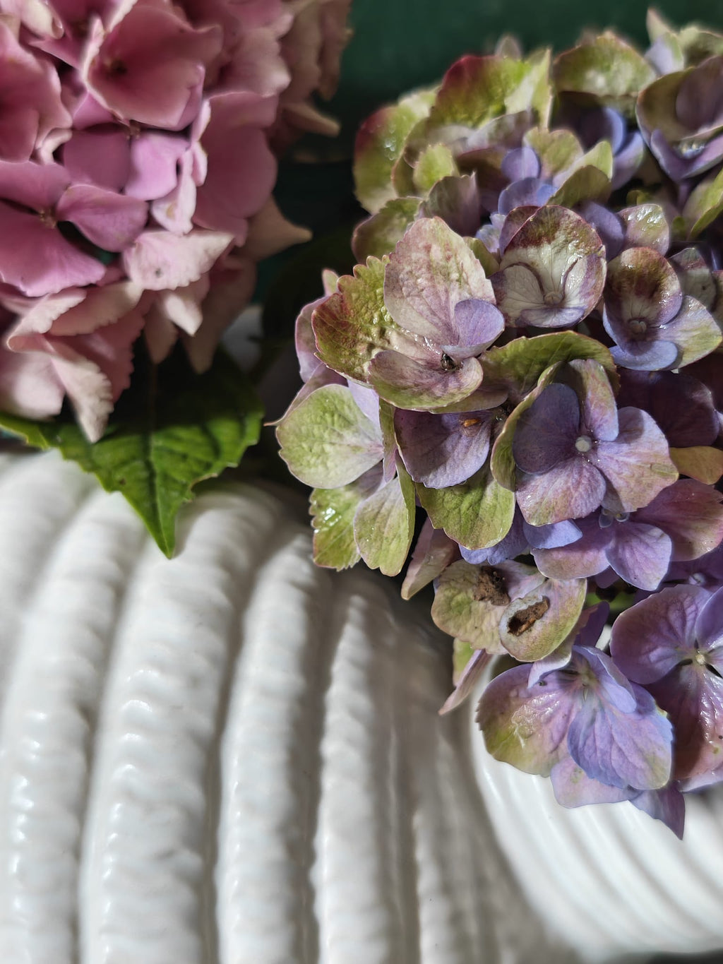 Close-up of a shell vase.