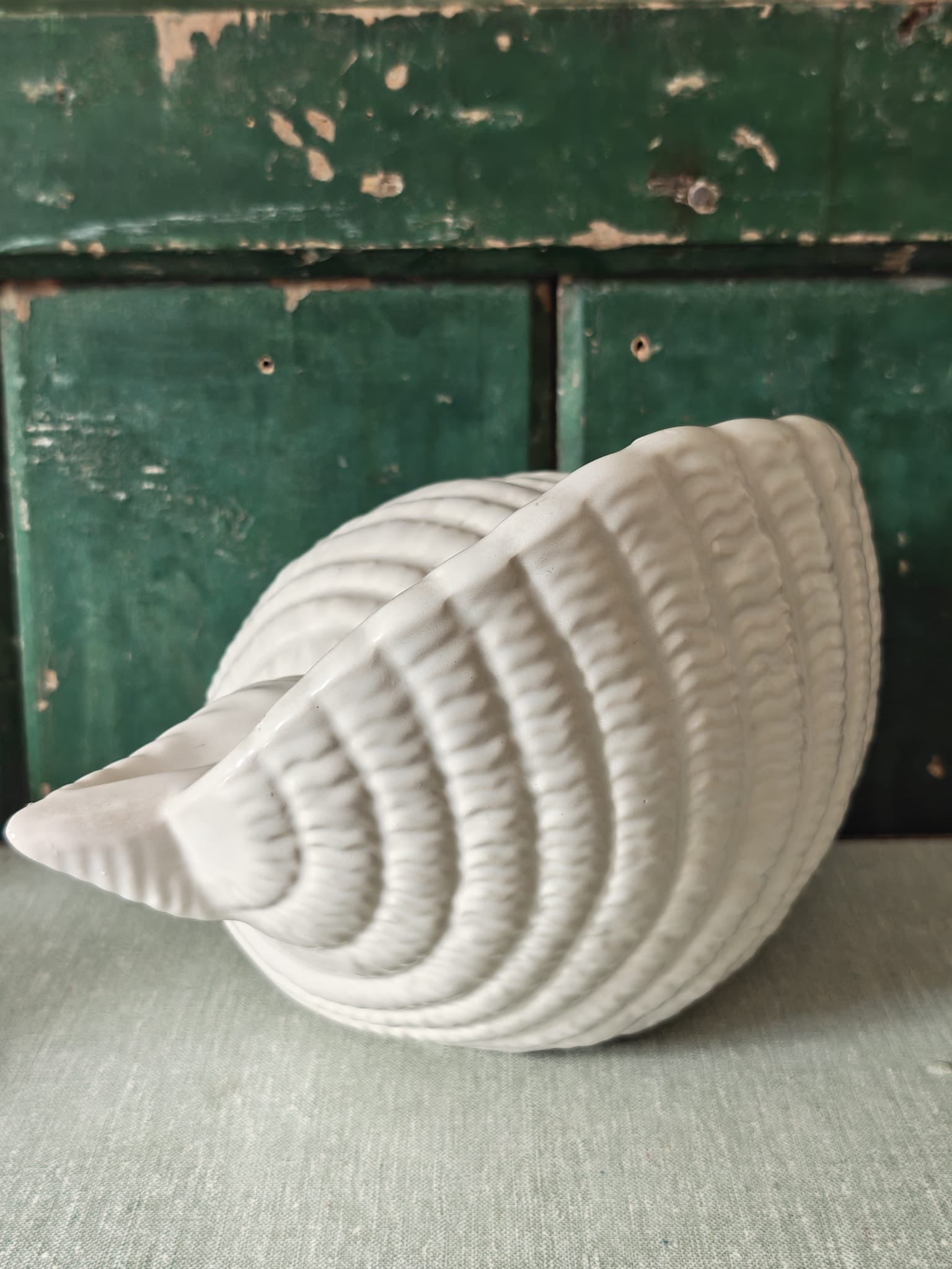 A large white seashell vase from Shorter and Son. 
