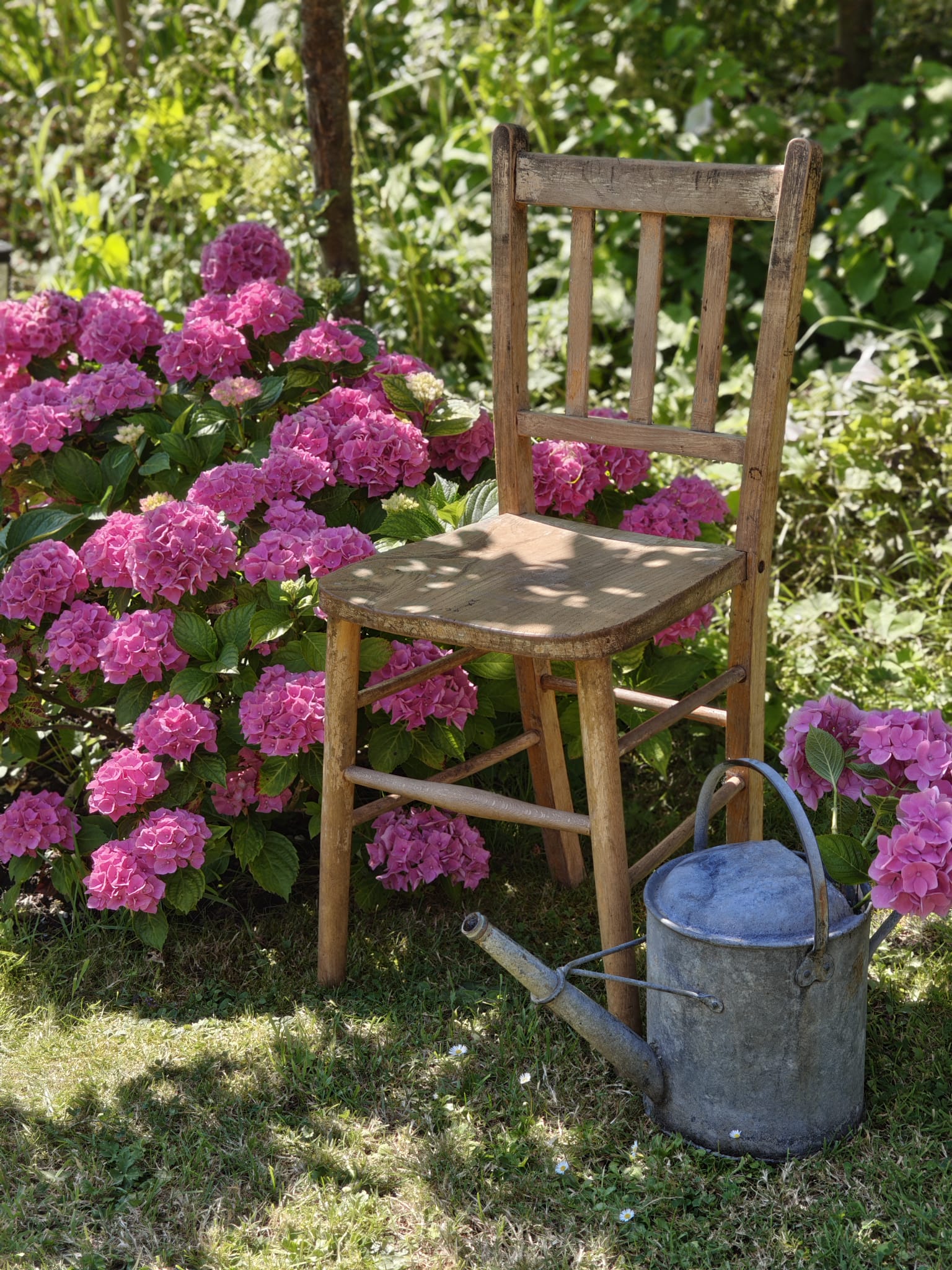 A rustic wooden chair