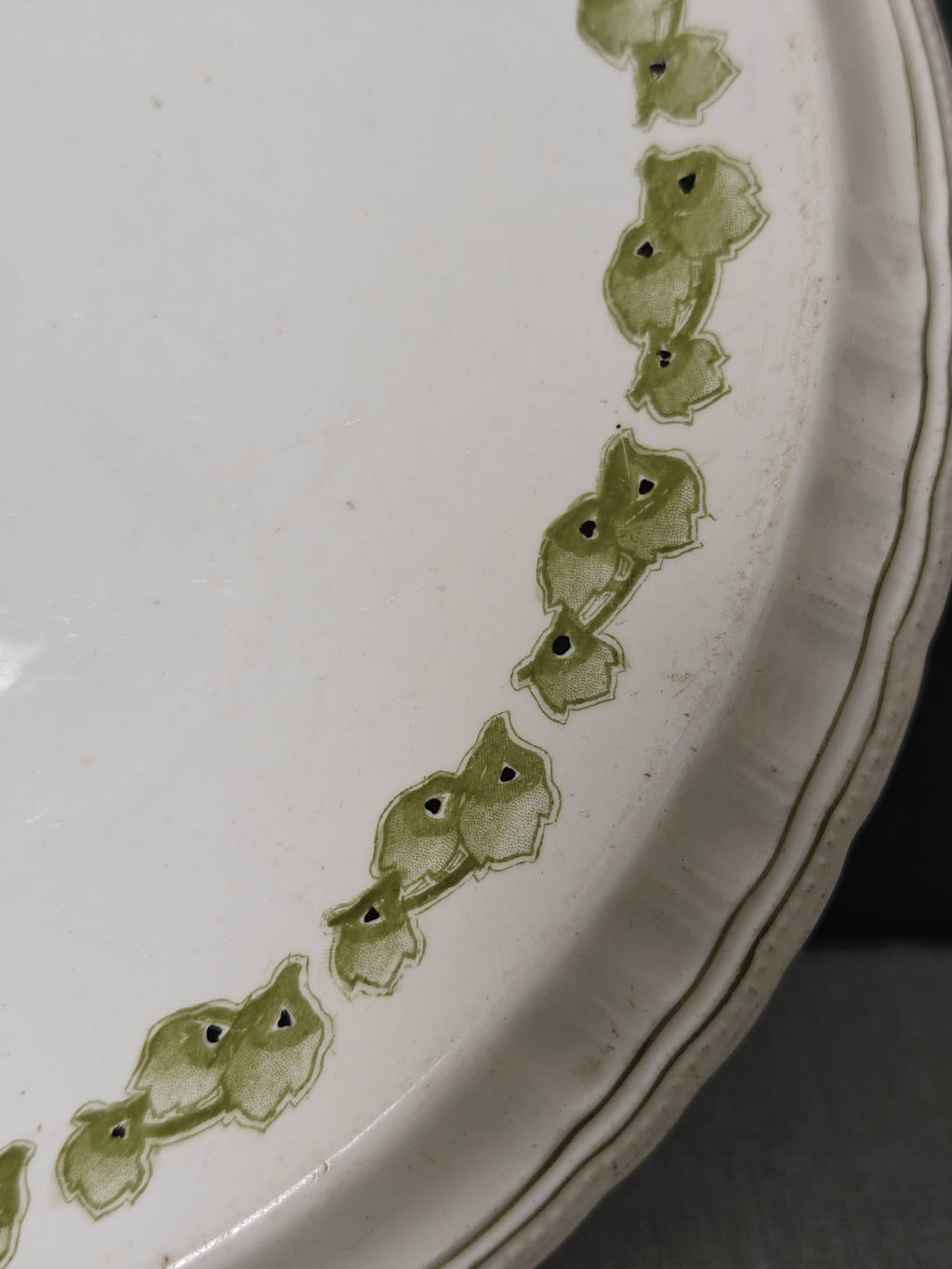 Close-up of a white ceramic plate featuring a decorative border of green hand-painted leaves.