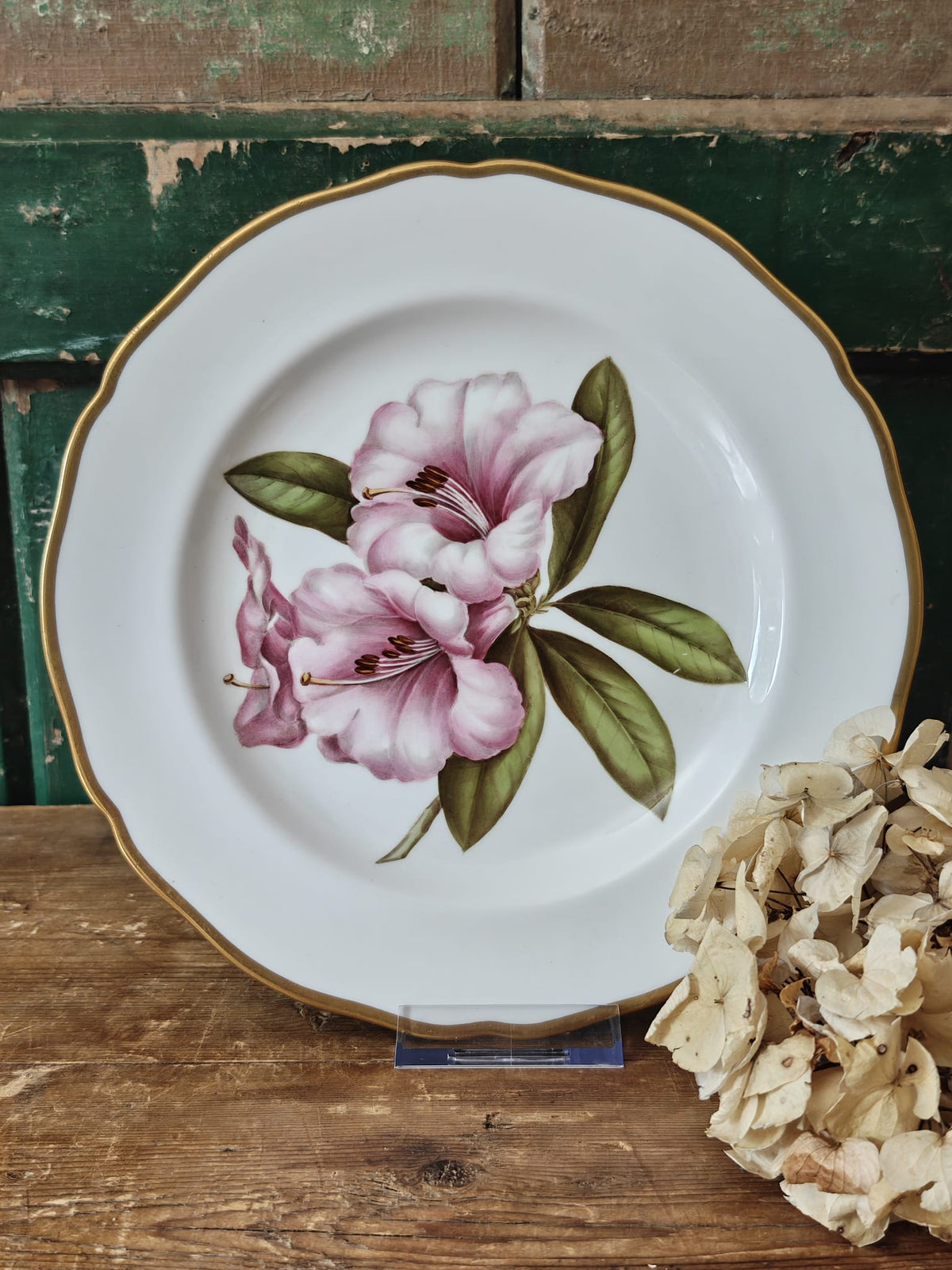 A white ceramic plate with a scalloped gold rim, featuring a hand-painted pink and green rhododendron flower.