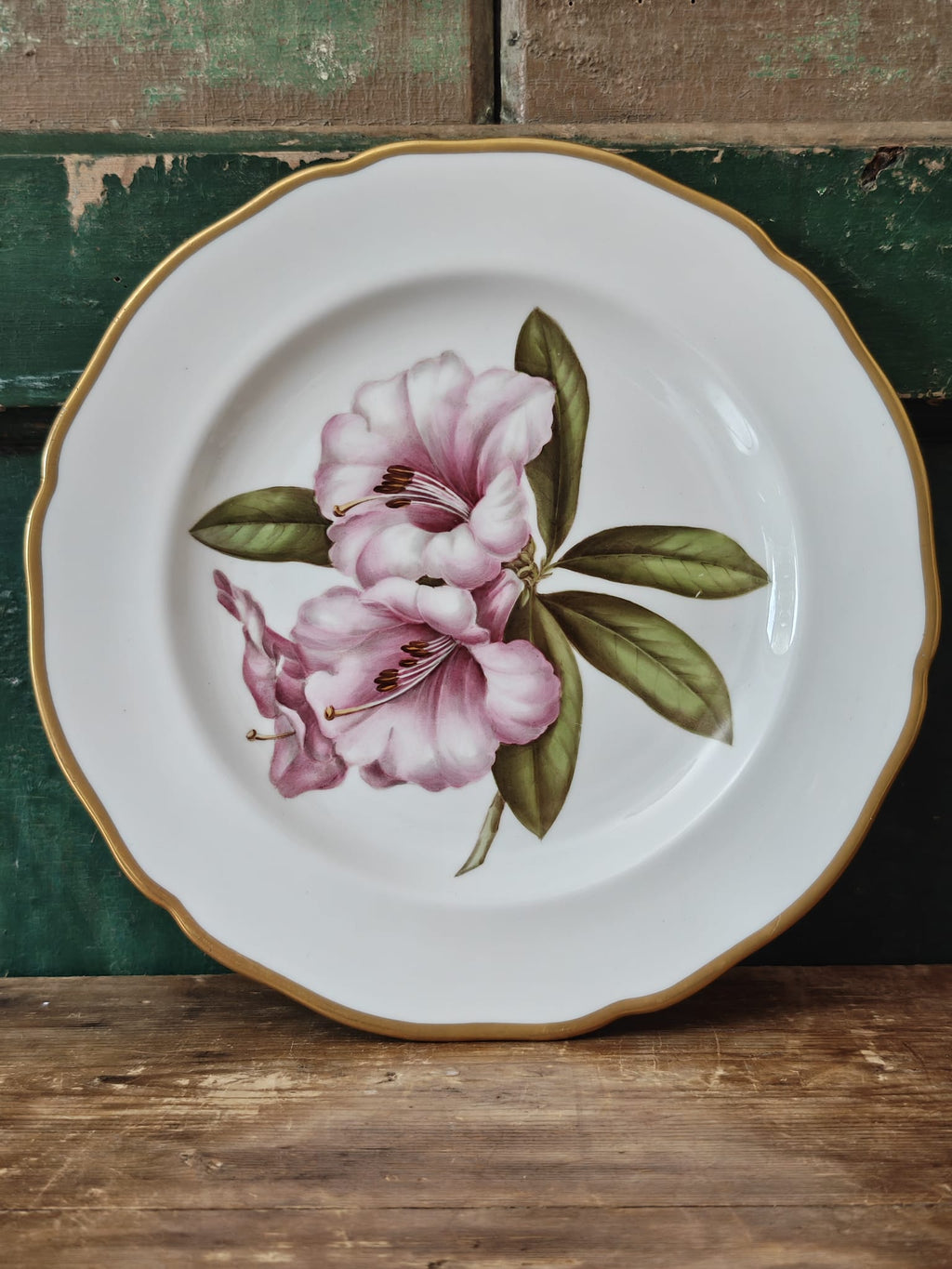 A white ceramic plate with a scalloped gold rim, featuring a hand-painted pink rhododendron flower .