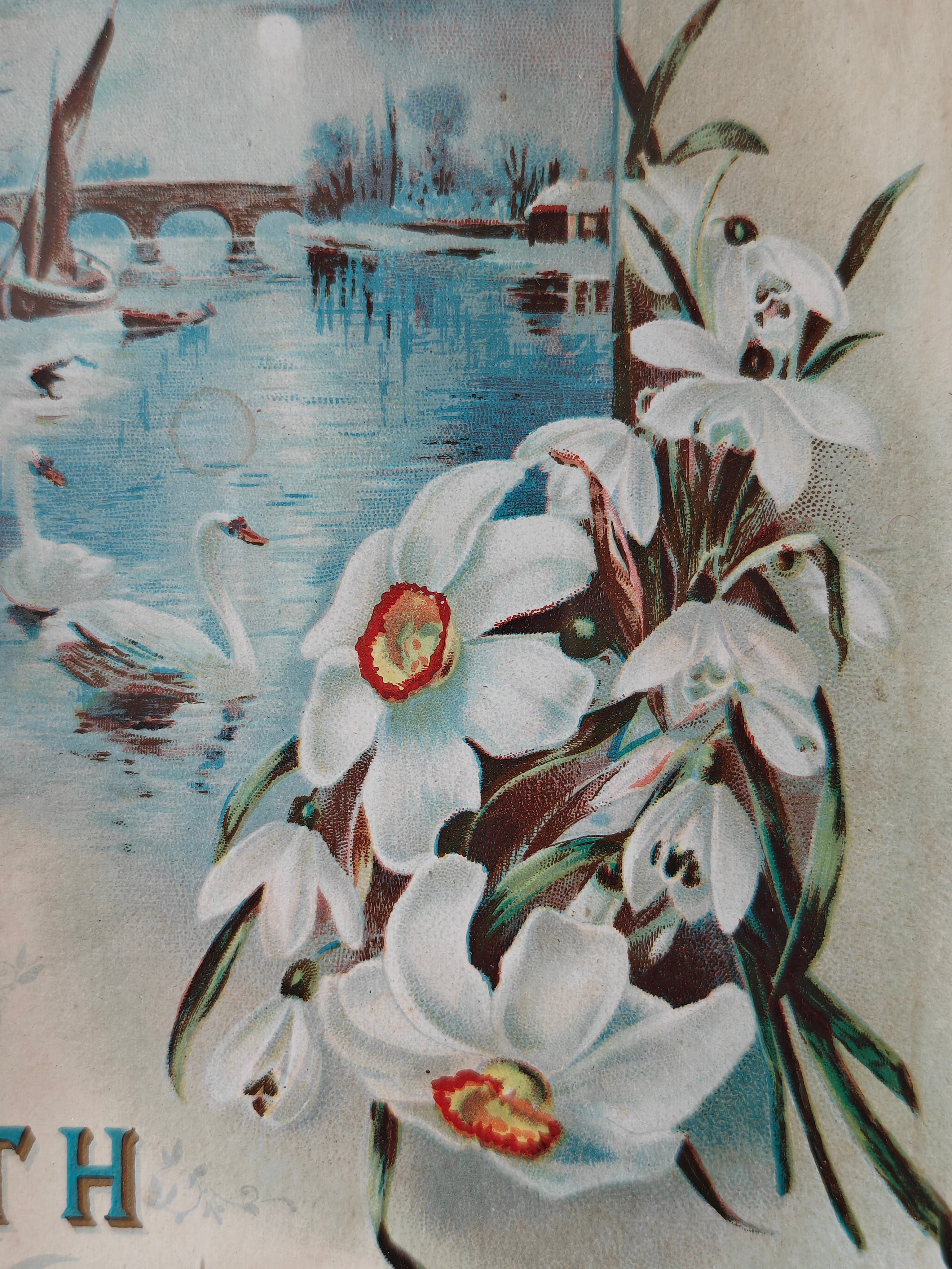 Detail of flowers on a vintage print