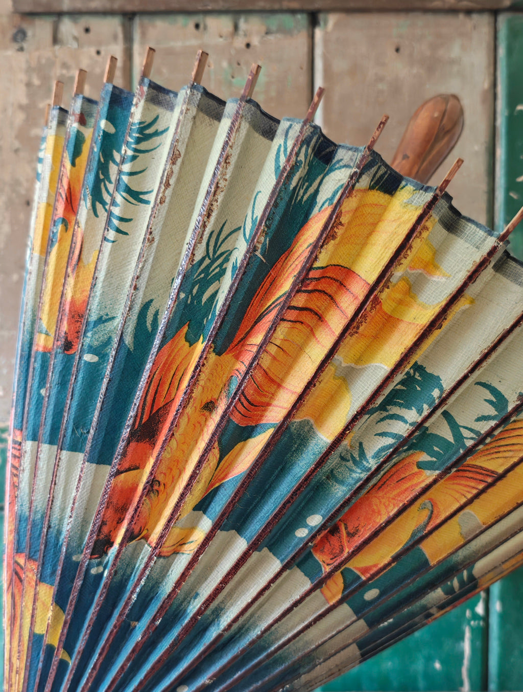 Partly unfurled decorative wood and paper Chinese parasol with gold fish pattern