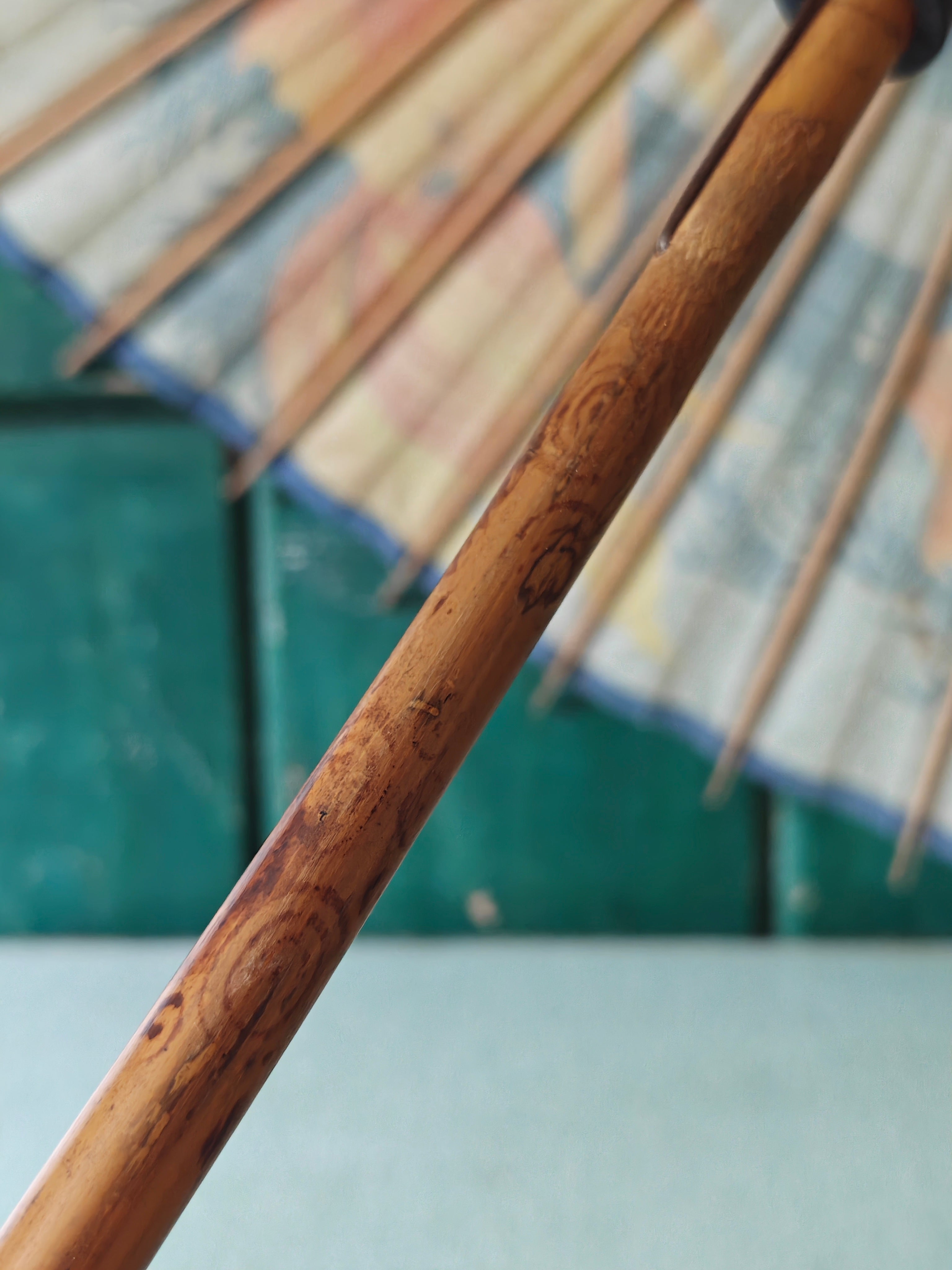Close up of the bamboo stem of a parasol