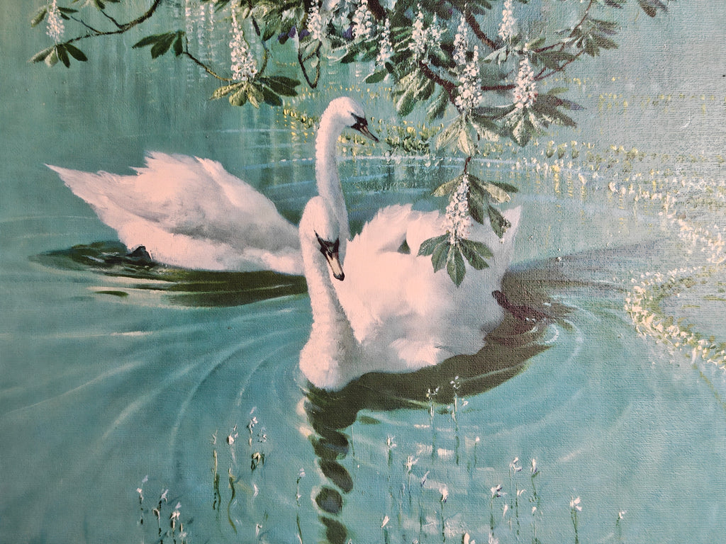 A vintage-style painting of two white swans swimming in a turquoise-blue pond under hanging leafy branches with small white flowers.