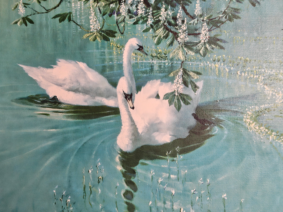 A vintage-style painting of two white swans swimming in a turquoise-blue pond under hanging leafy branches with small white flowers.