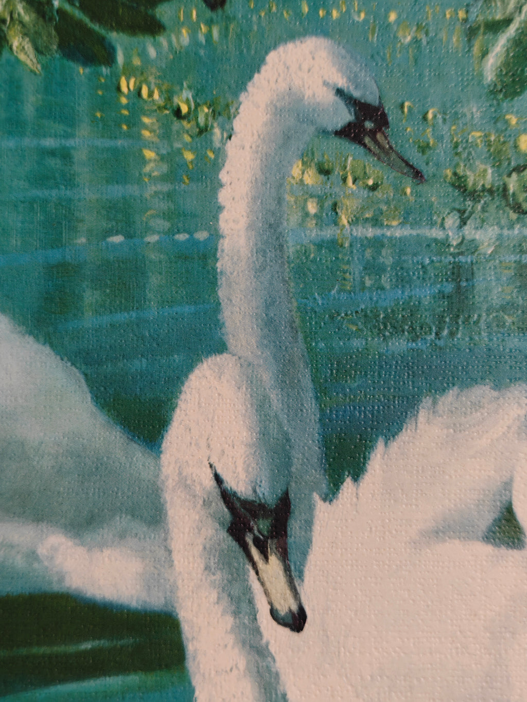 A close-up of a vintage print showing the heads and necks of two white swans on blue-green water.