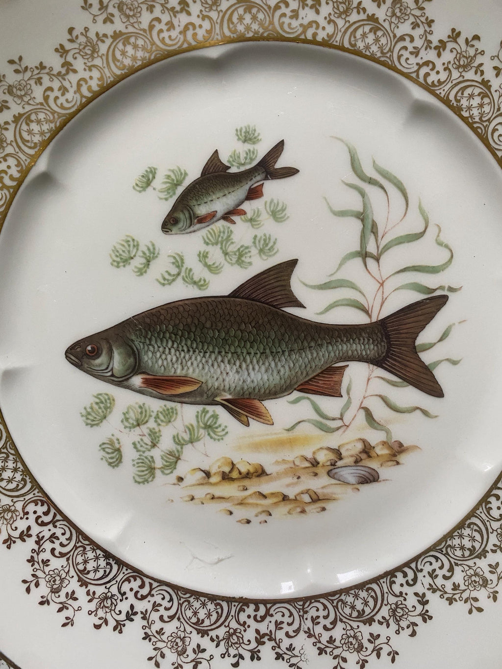 Set of three decorative plates with fish illustrations and gilt decoration