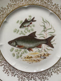 Set of three decorative plates with fish illustrations and gilt decoration