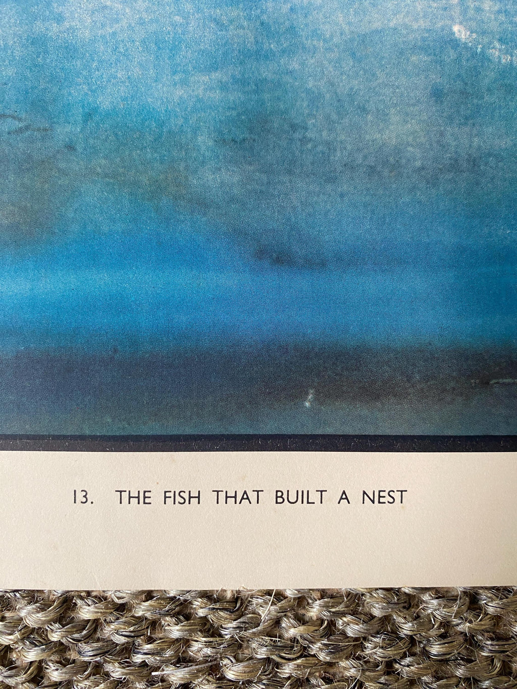 Mid Century Print 'The Fish That Built a Nest' by Eileen Soper