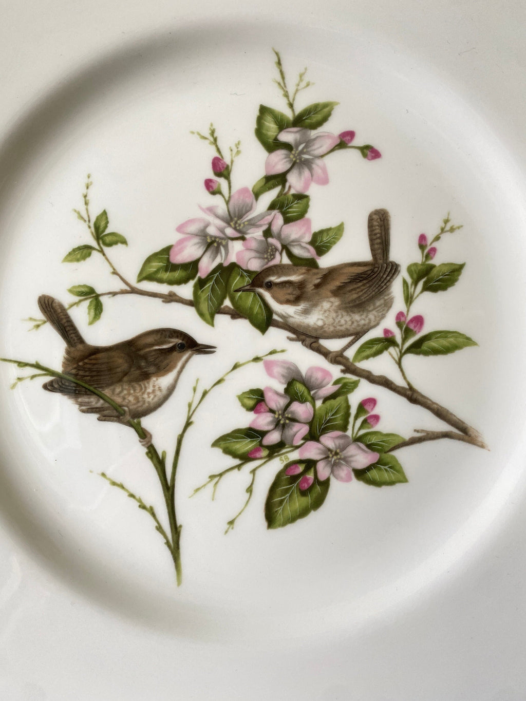 Ceramic plate with wren decoration