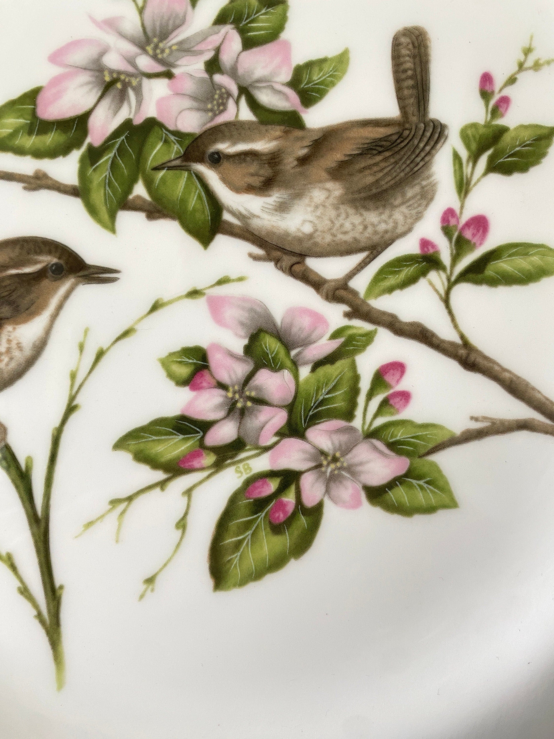 detail of a ceramic plate with wren decoration