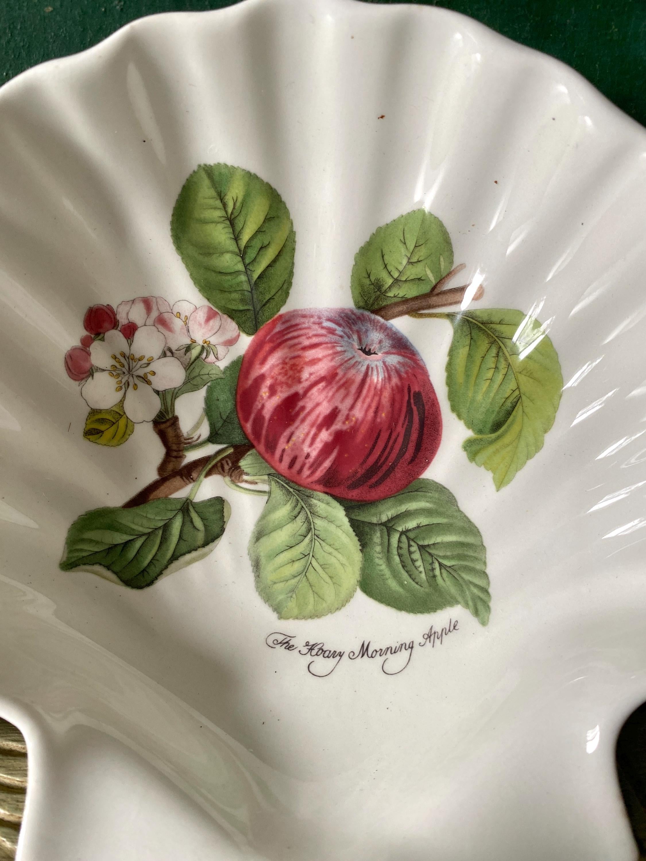 Decorative plate with an apple and leaf design on a white background