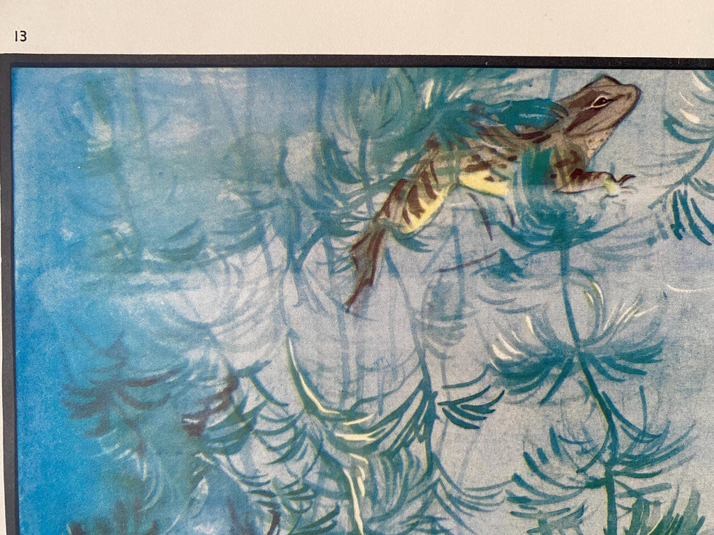 Under the sea print