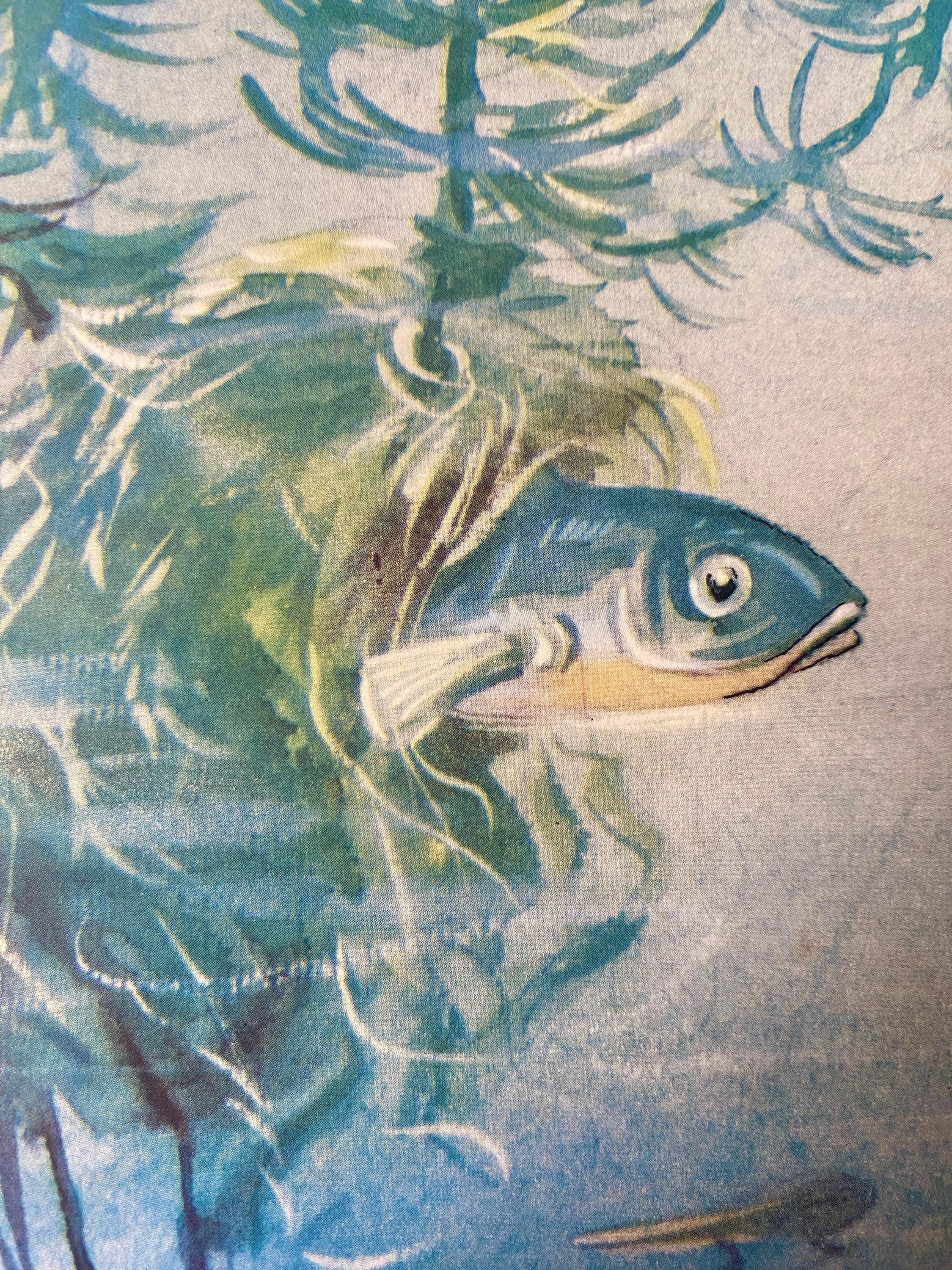 Mid Century Print 'The Fish That Built a Nest' by Eileen Soper