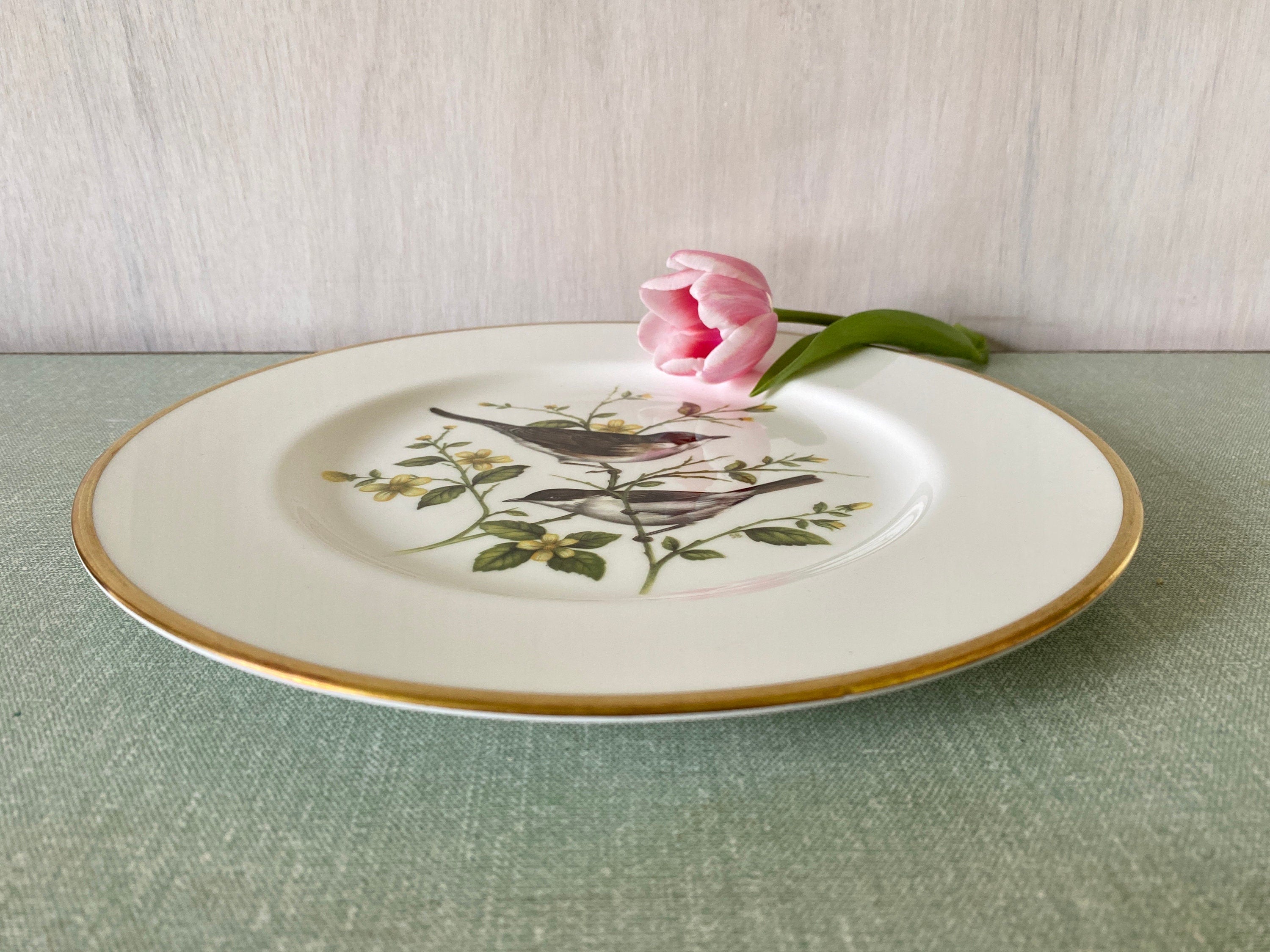 Collectible Wall Plate