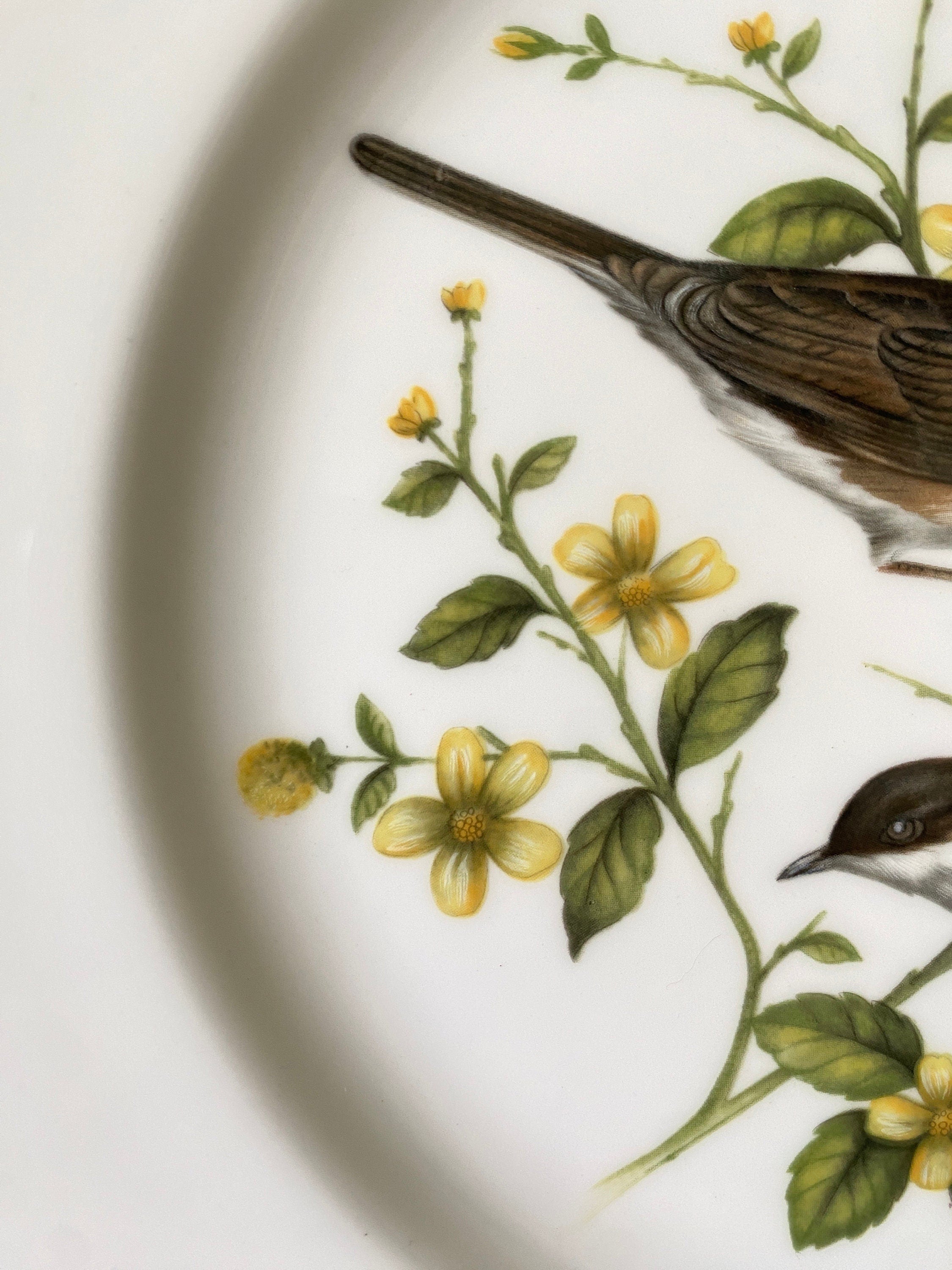 Coalport Whitethroat Plate: Limited Edition British Bird Plate