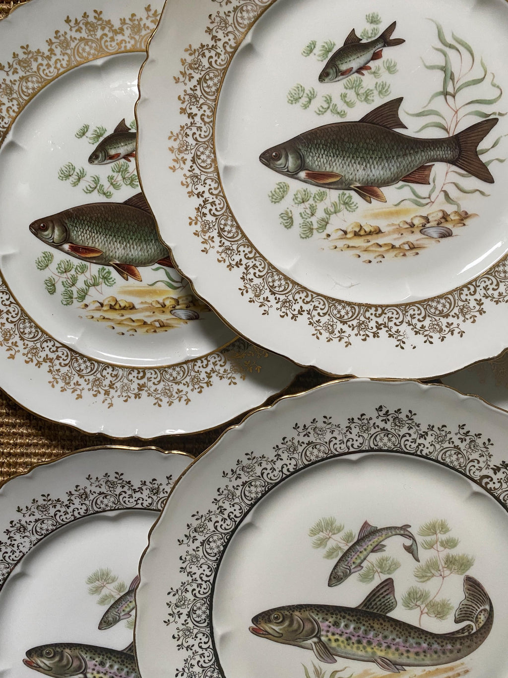 Set of decorative plates with fish illustrations on a white background