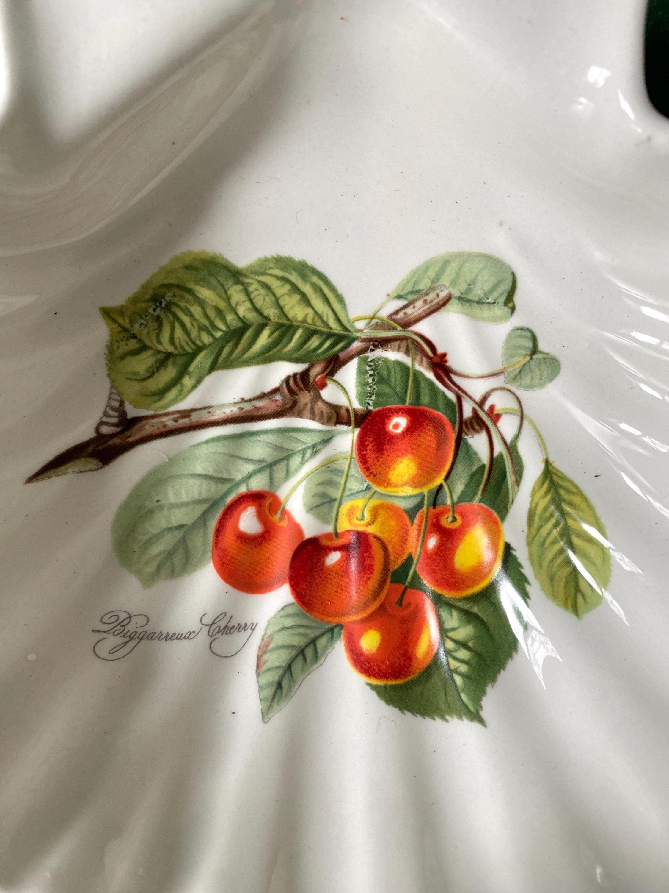 Decorative dish with a branch of red cherries and green leaves on a white background