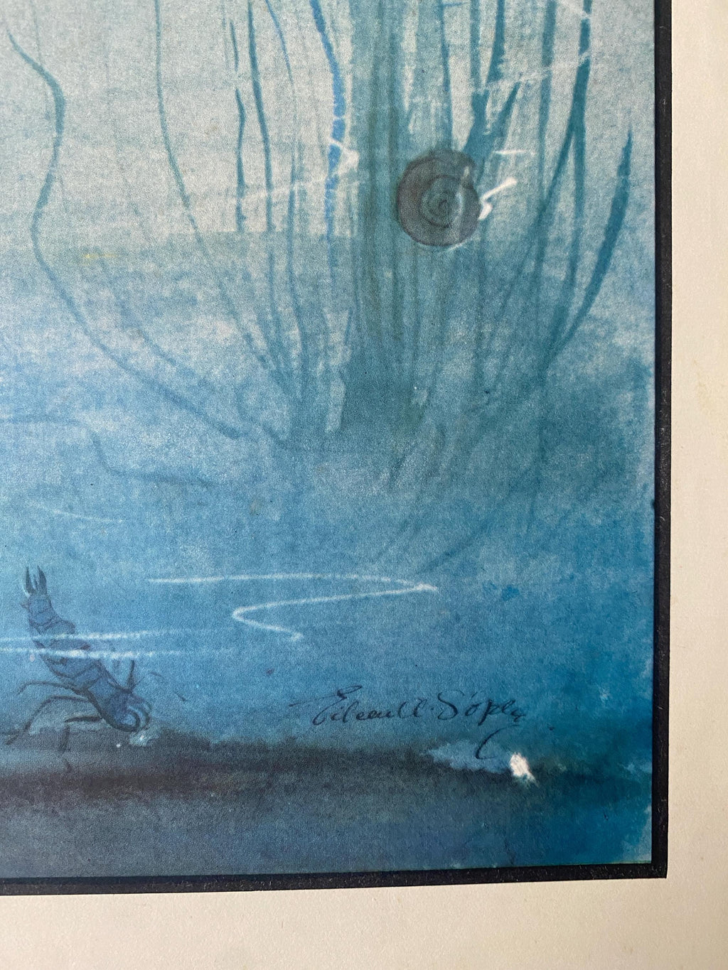 Mid Century Print 'The Fish That Built a Nest' by Eileen Soper