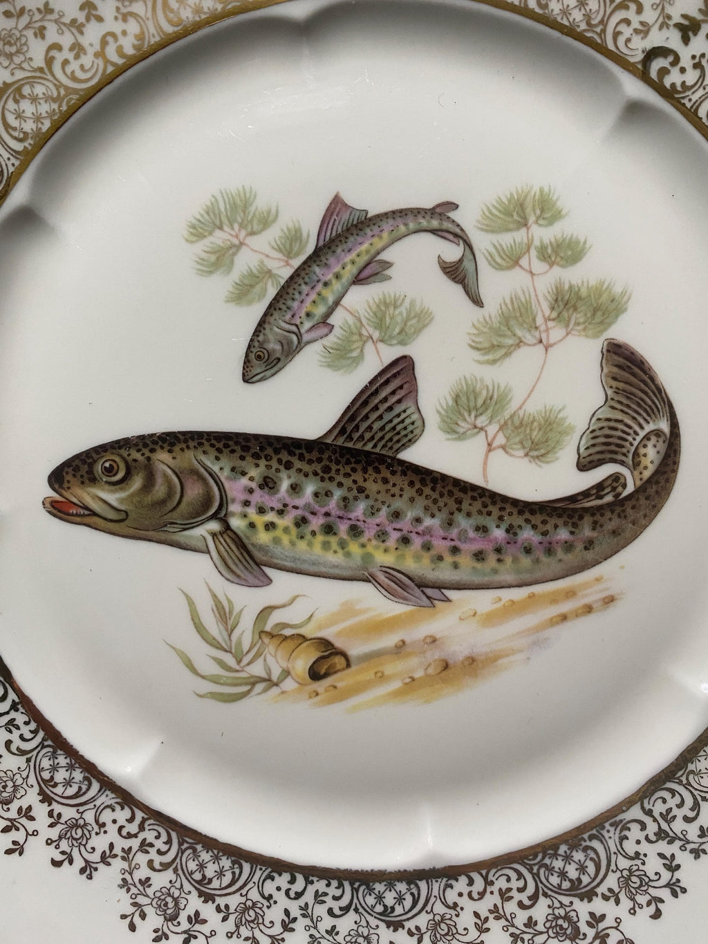 Decorative plate with fish illustration on a white background